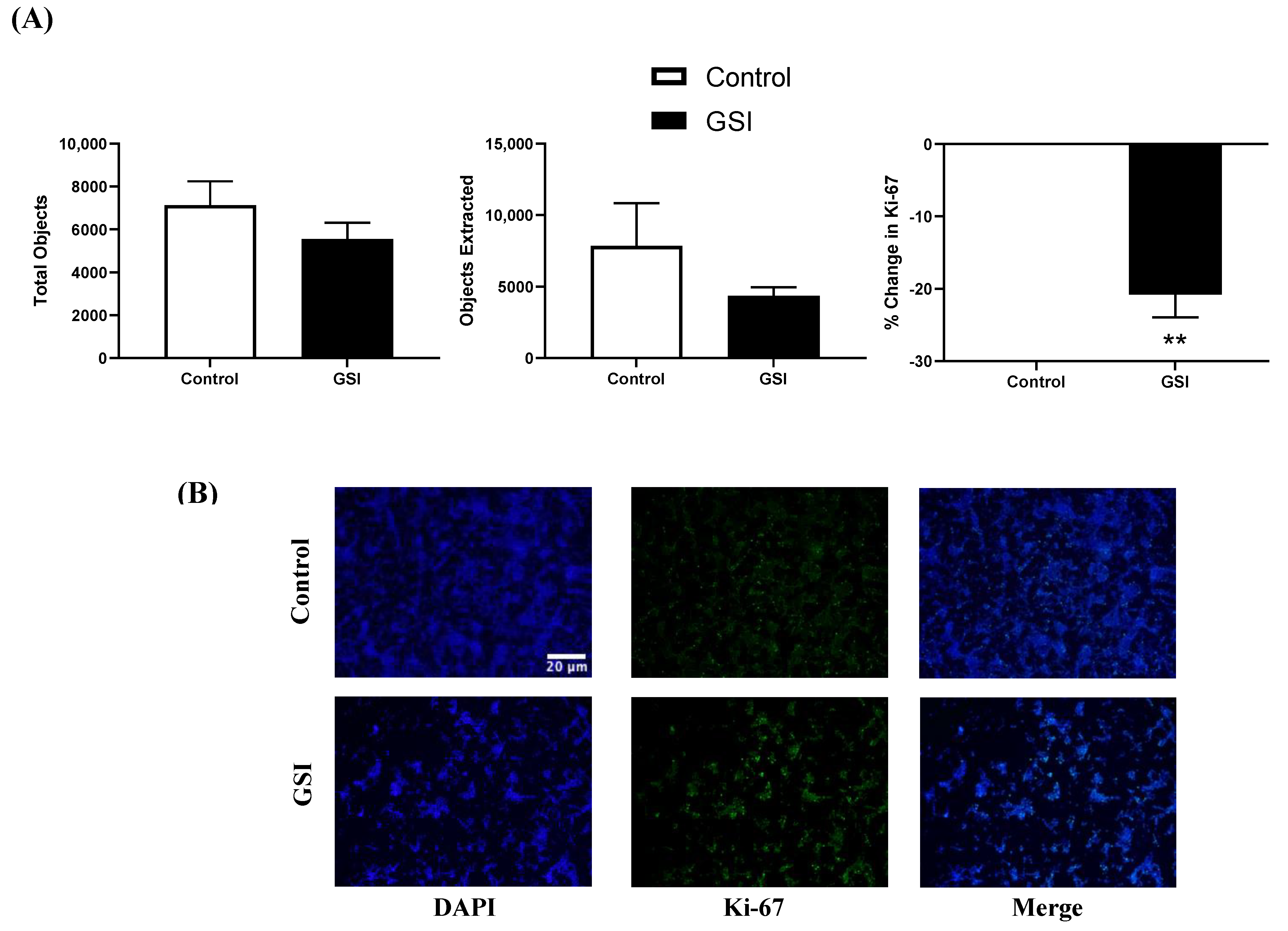 Biomedicines 11 00065 g007 Biomedicines 11 00065 g007