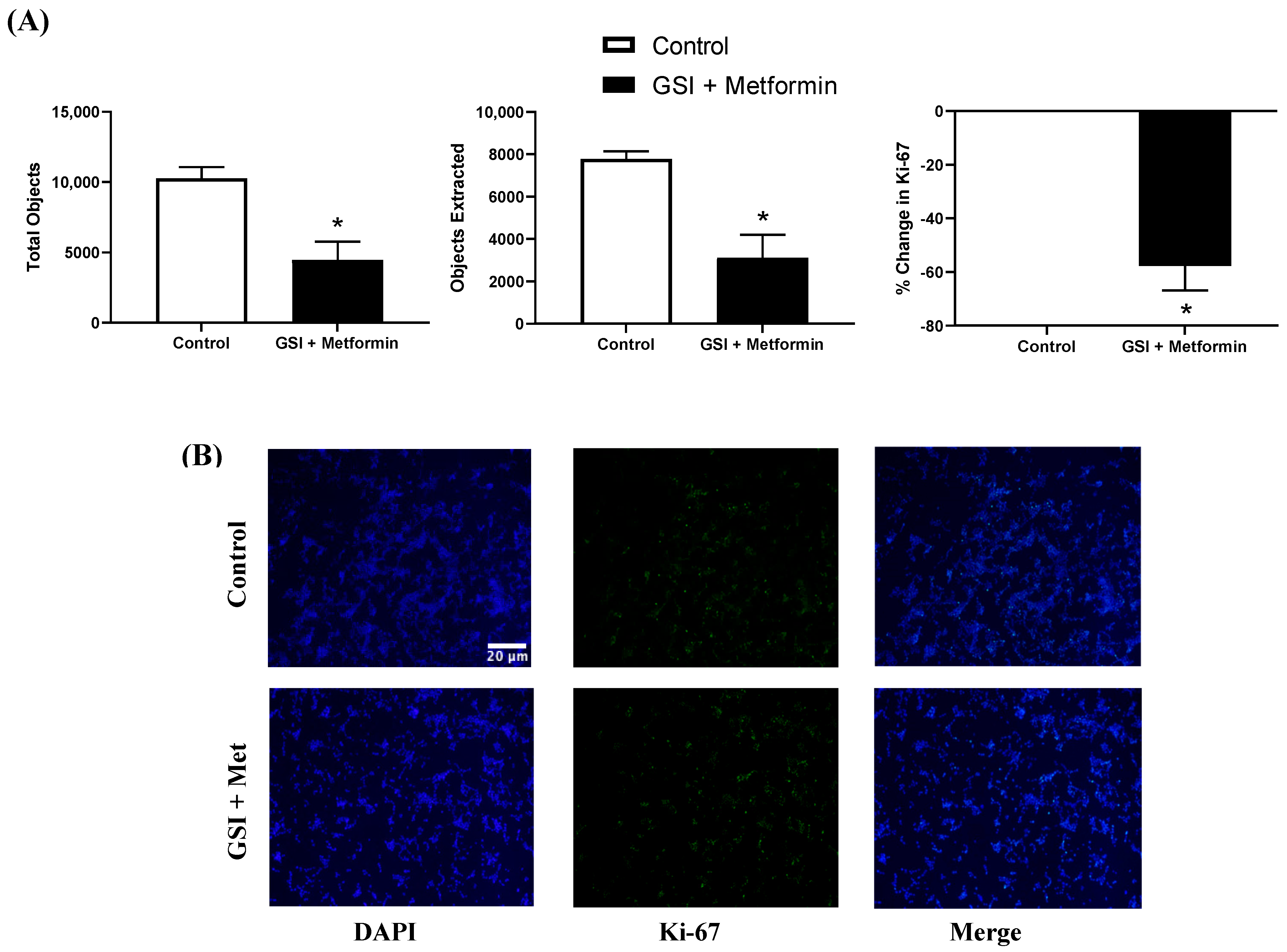 Biomedicines 11 00065 g008 Biomedicines 11 00065 g008