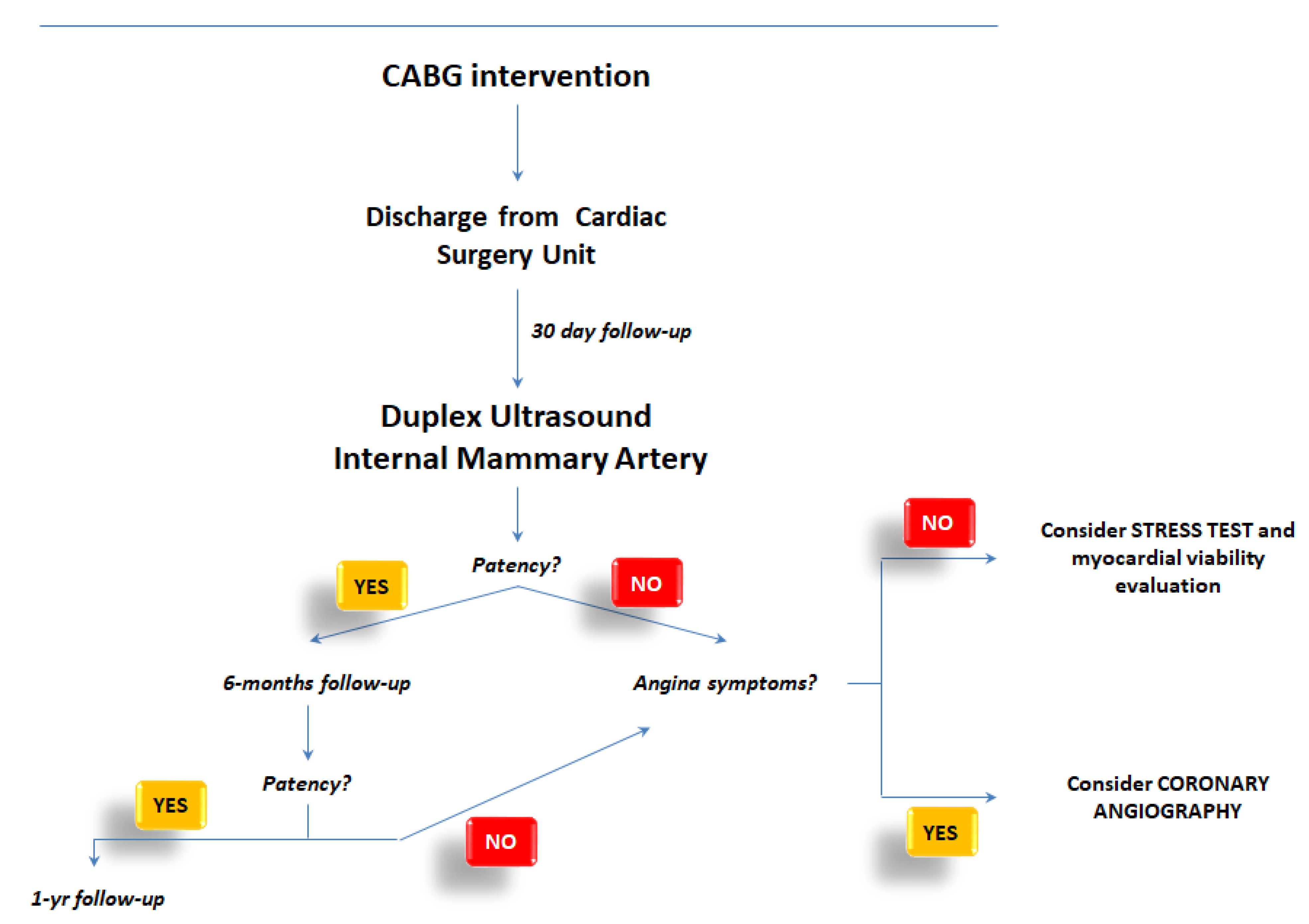Biomedicines 11 00066 g003
