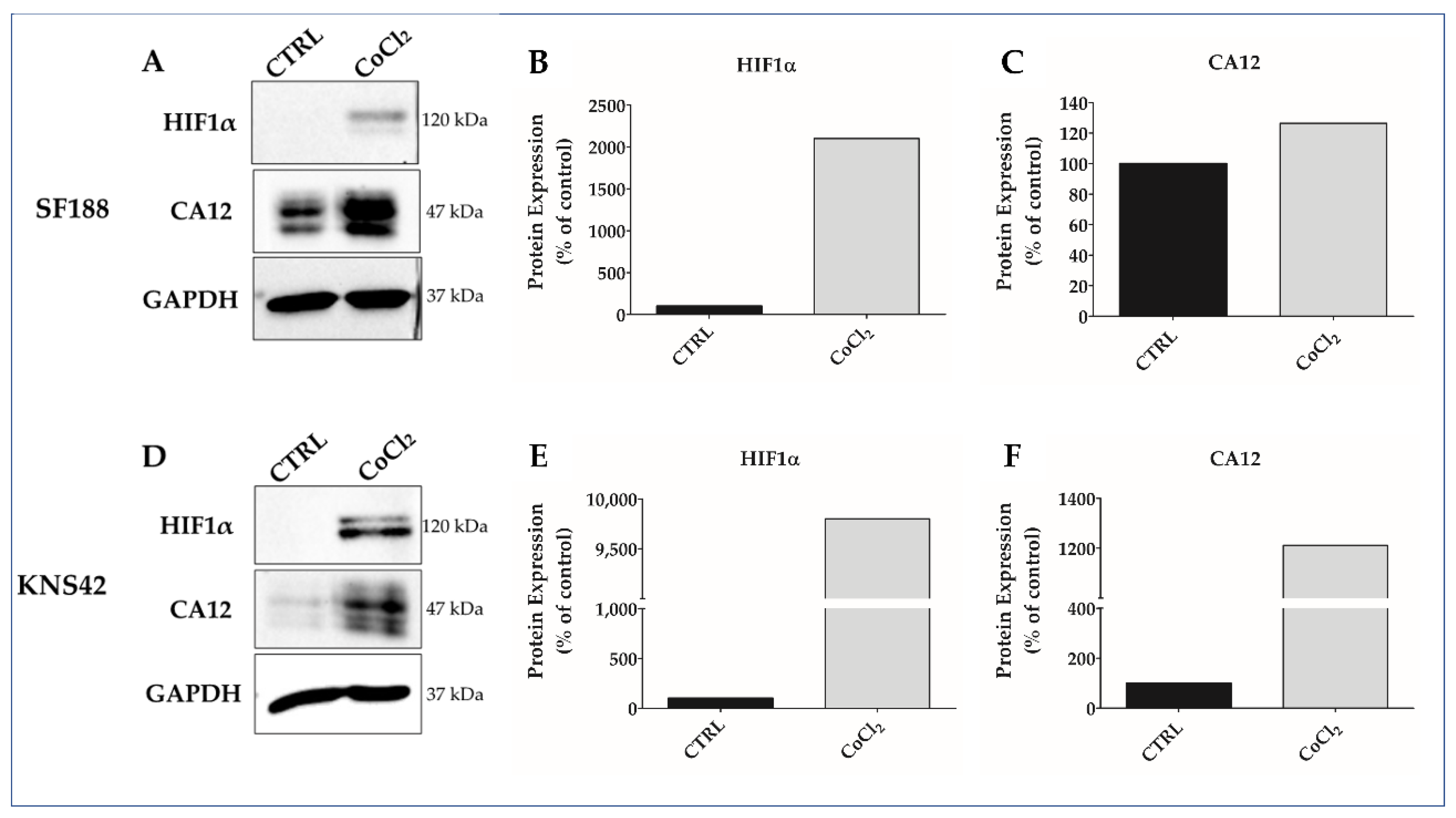 Biomedicines 11 00068 g002