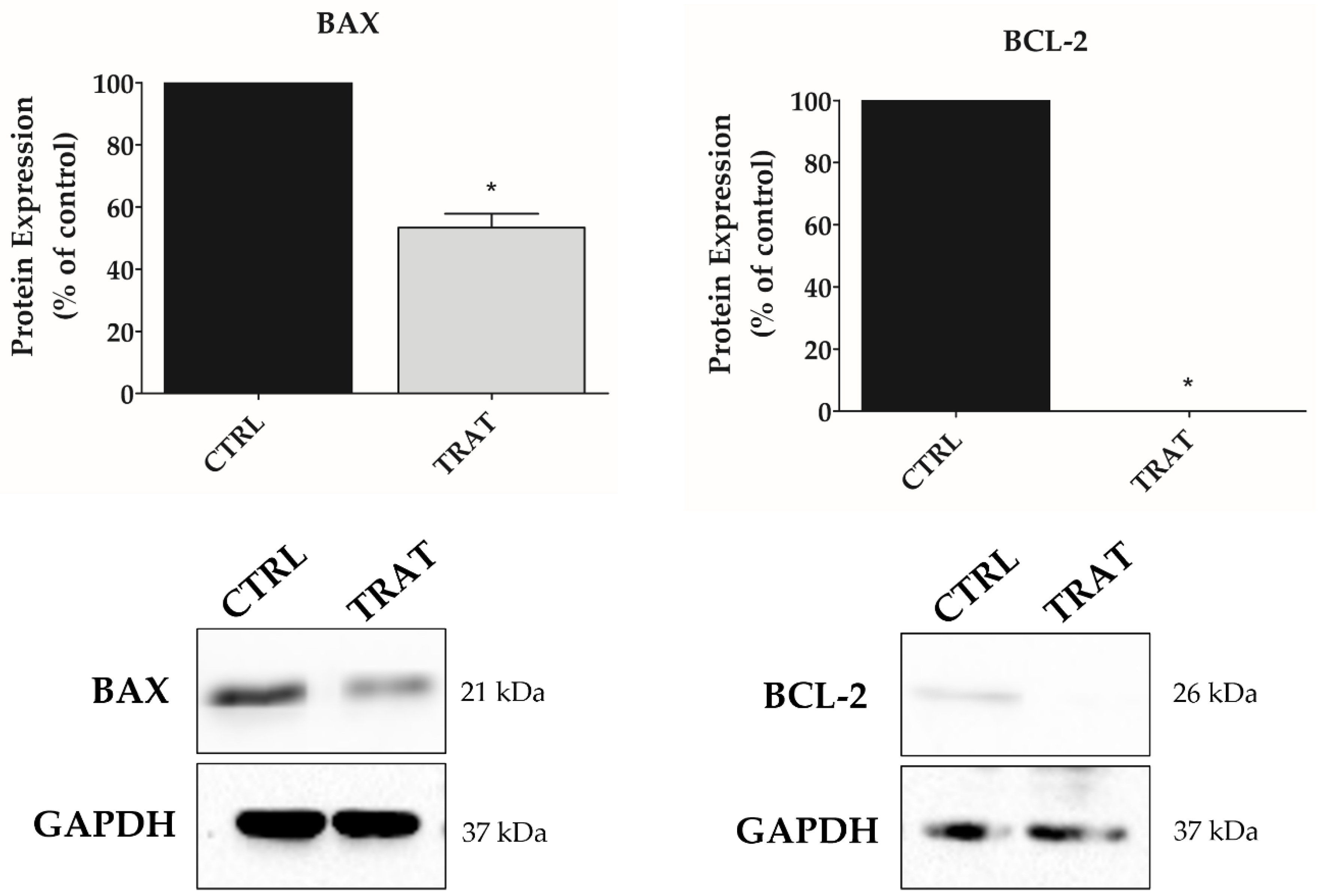 Biomedicines 11 00068 g007