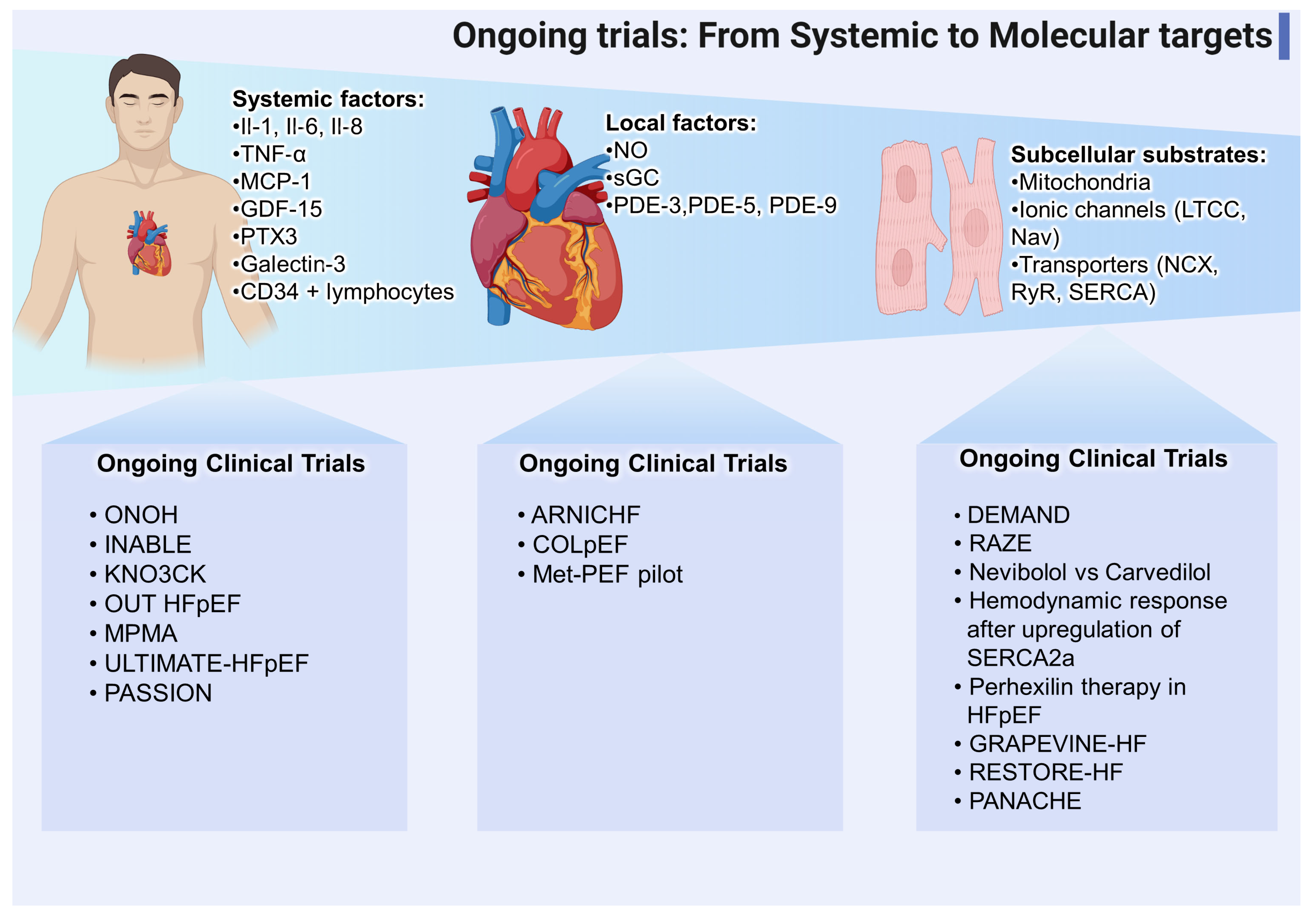 Biomedicines 11 00070 g002 Biomedicines 11 00070 g002