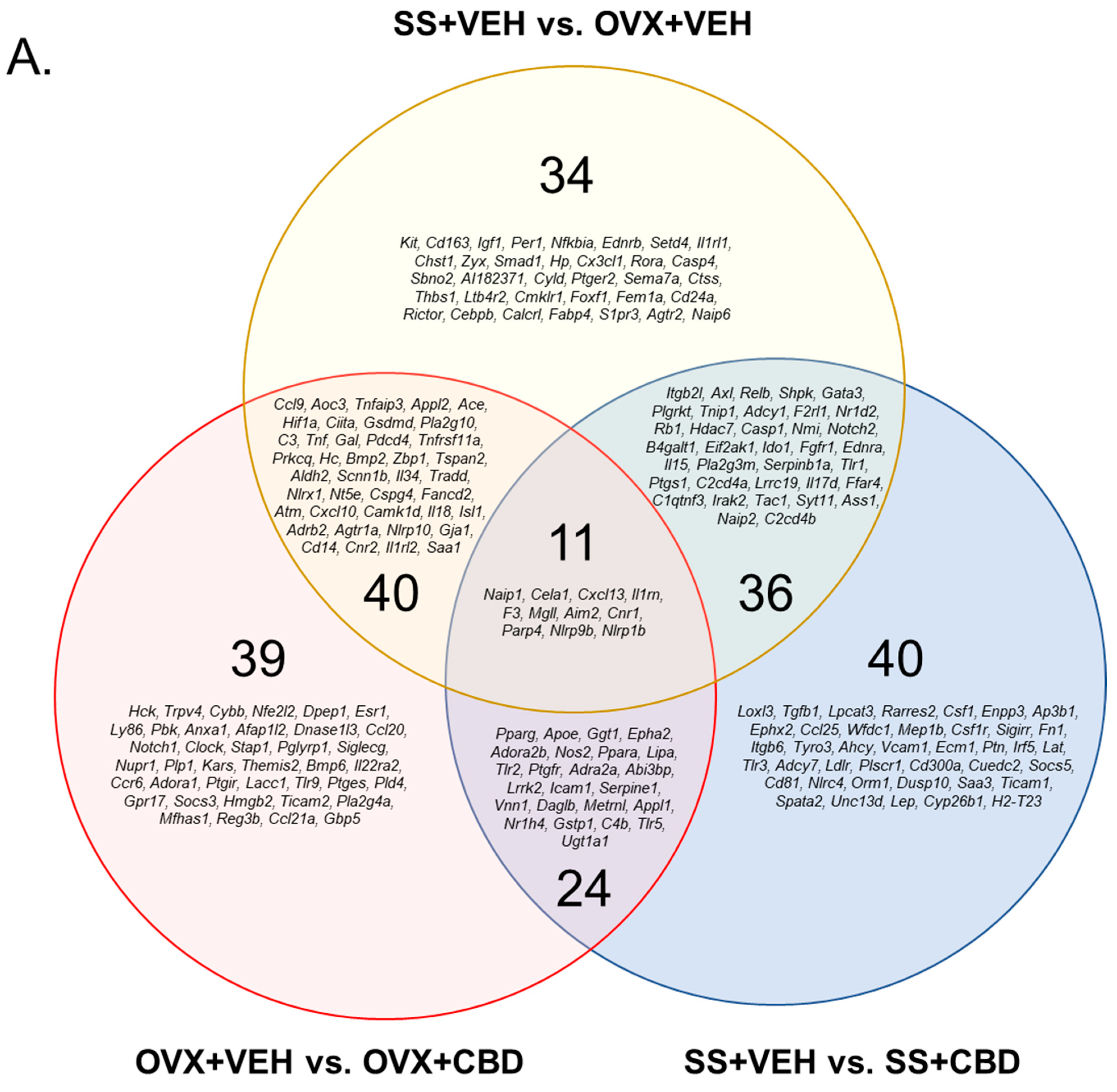 Biomedicines 11 00074 g001a Biomedicines 11 00074 g001a