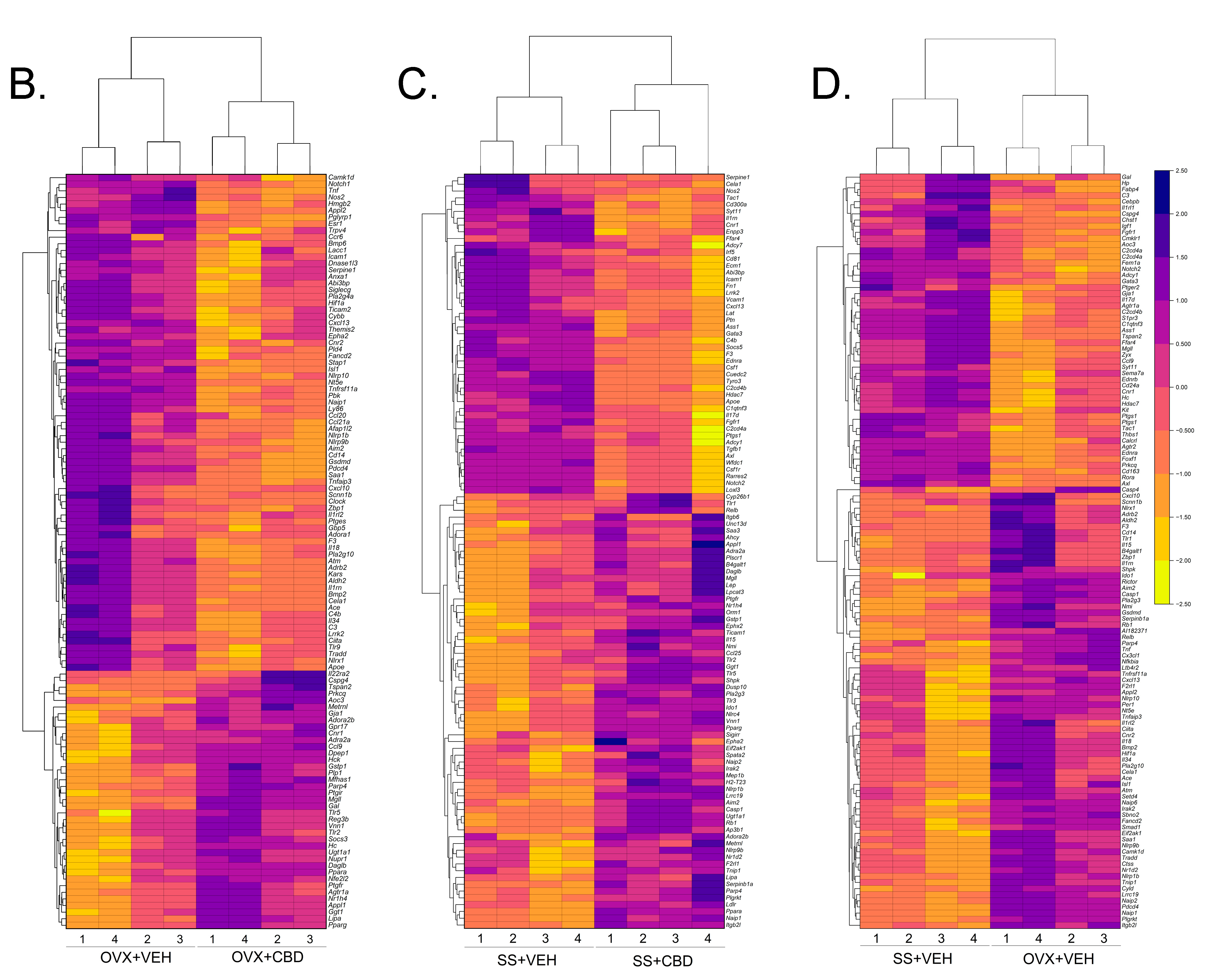 Biomedicines 11 00074 g001b Biomedicines 11 00074 g001b