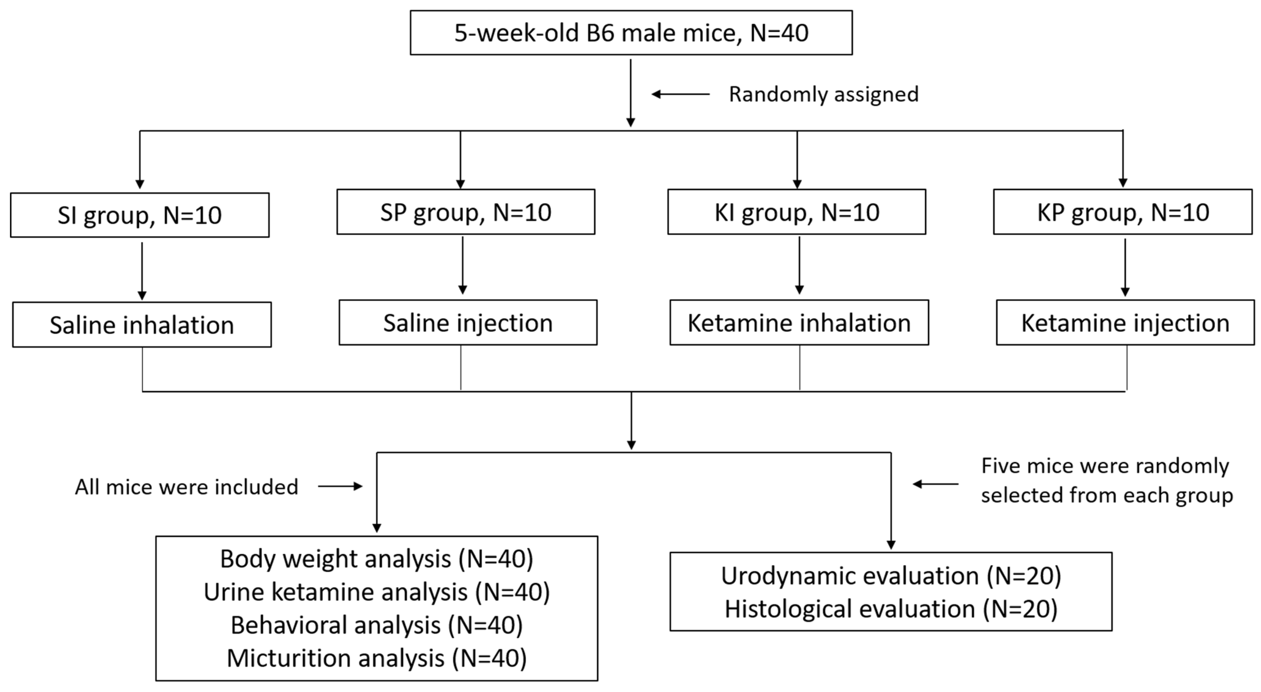 Biomedicines 11 00075 g001