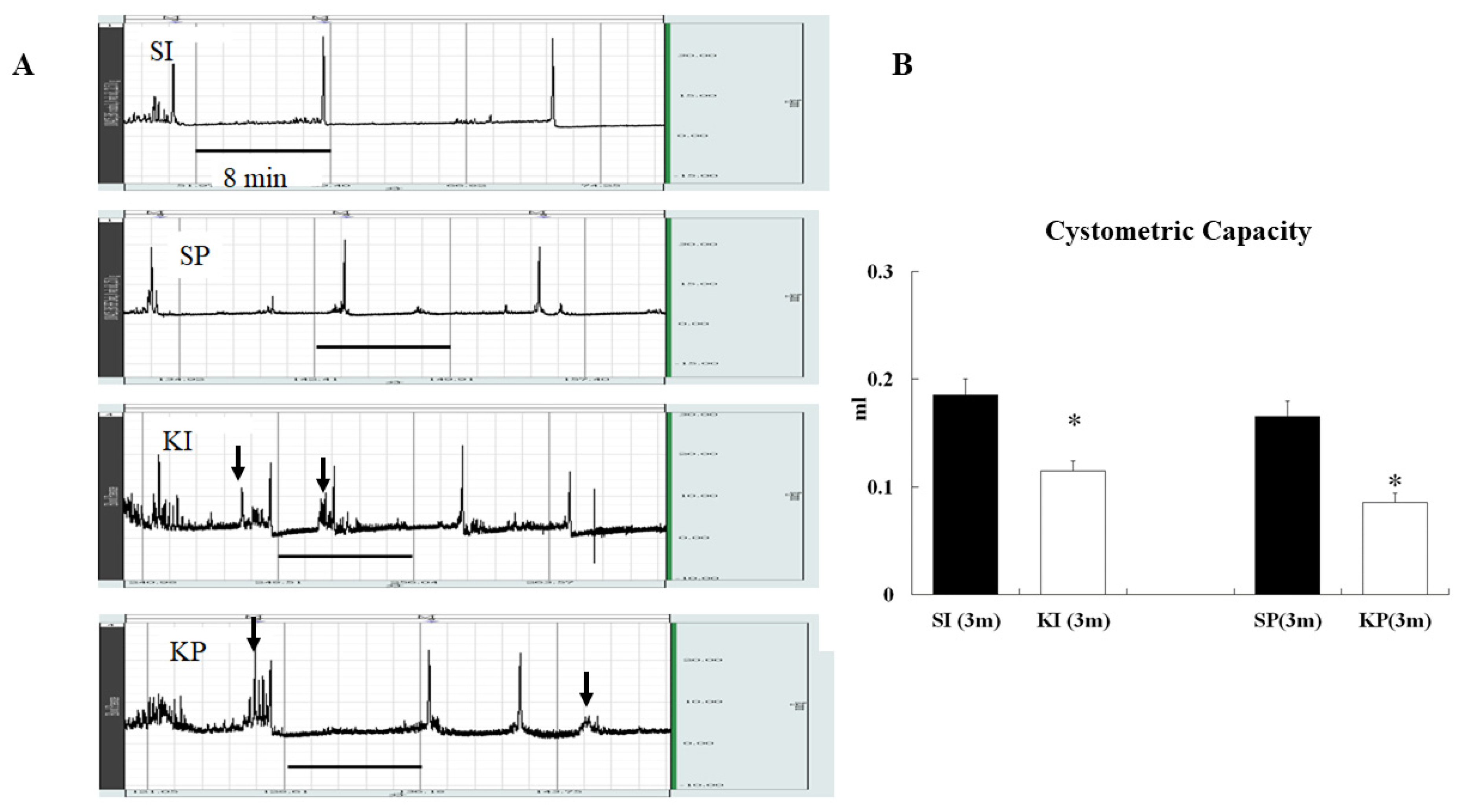Biomedicines 11 00075 g005