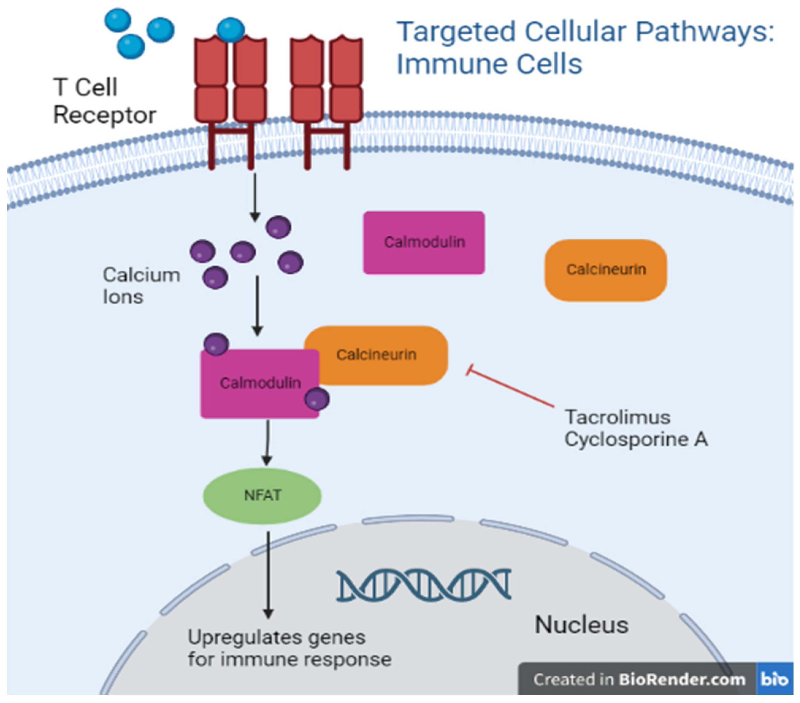 Biomedicines 11 00099 g003
