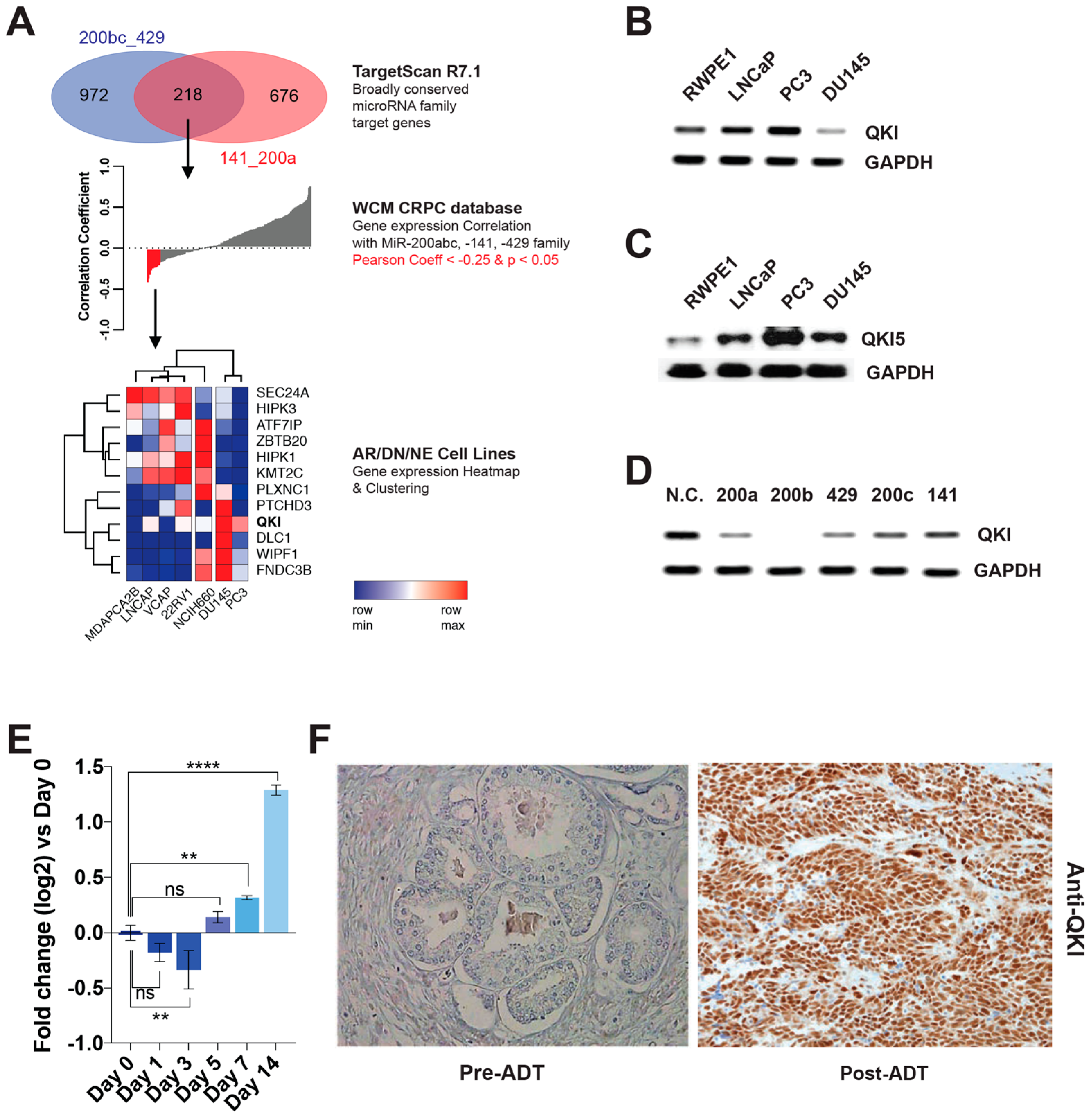 Biomedicines 11 00101 g002 Biomedicines 11 00101 g002