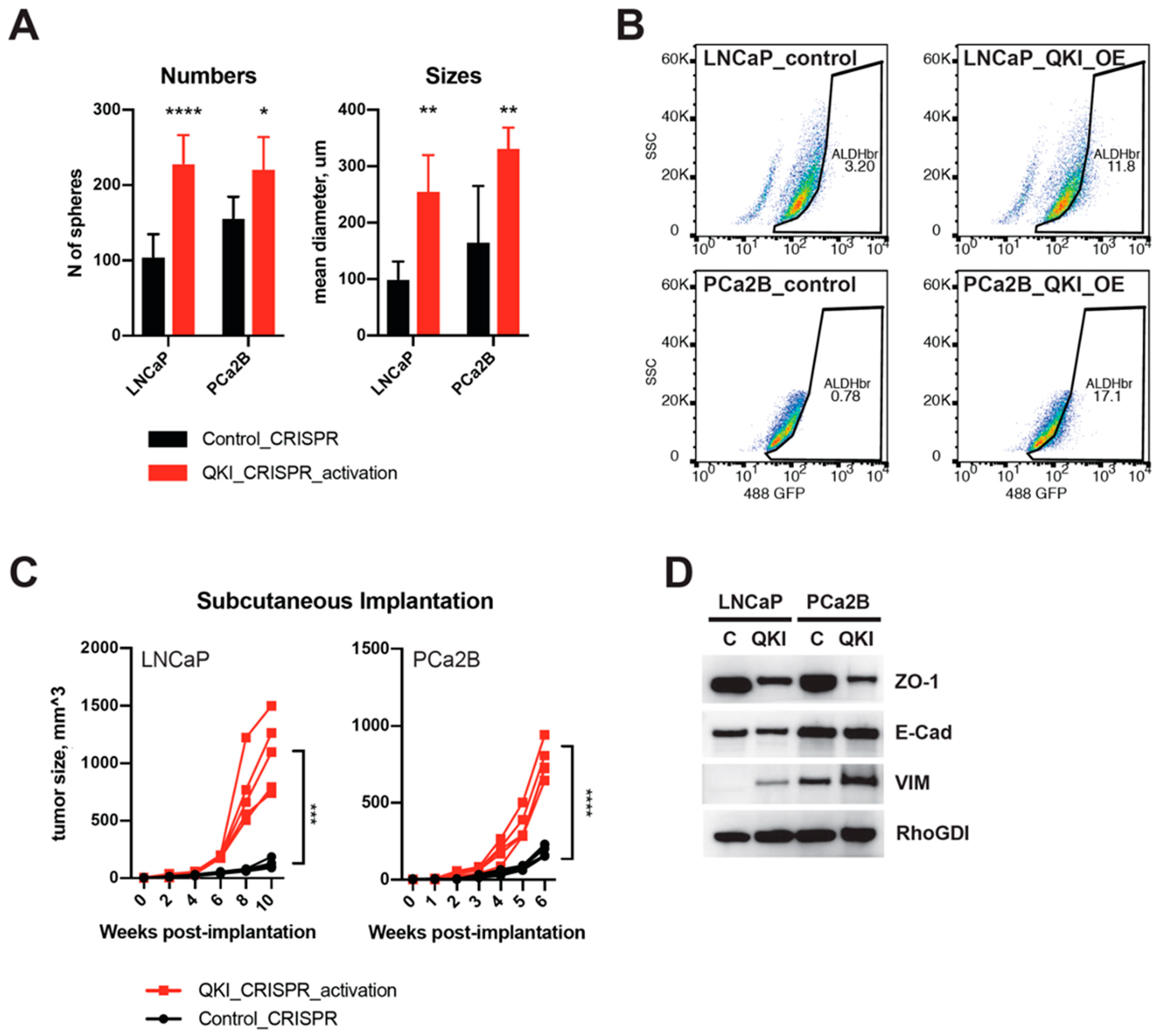 Biomedicines 11 00101 g003 Biomedicines 11 00101 g003