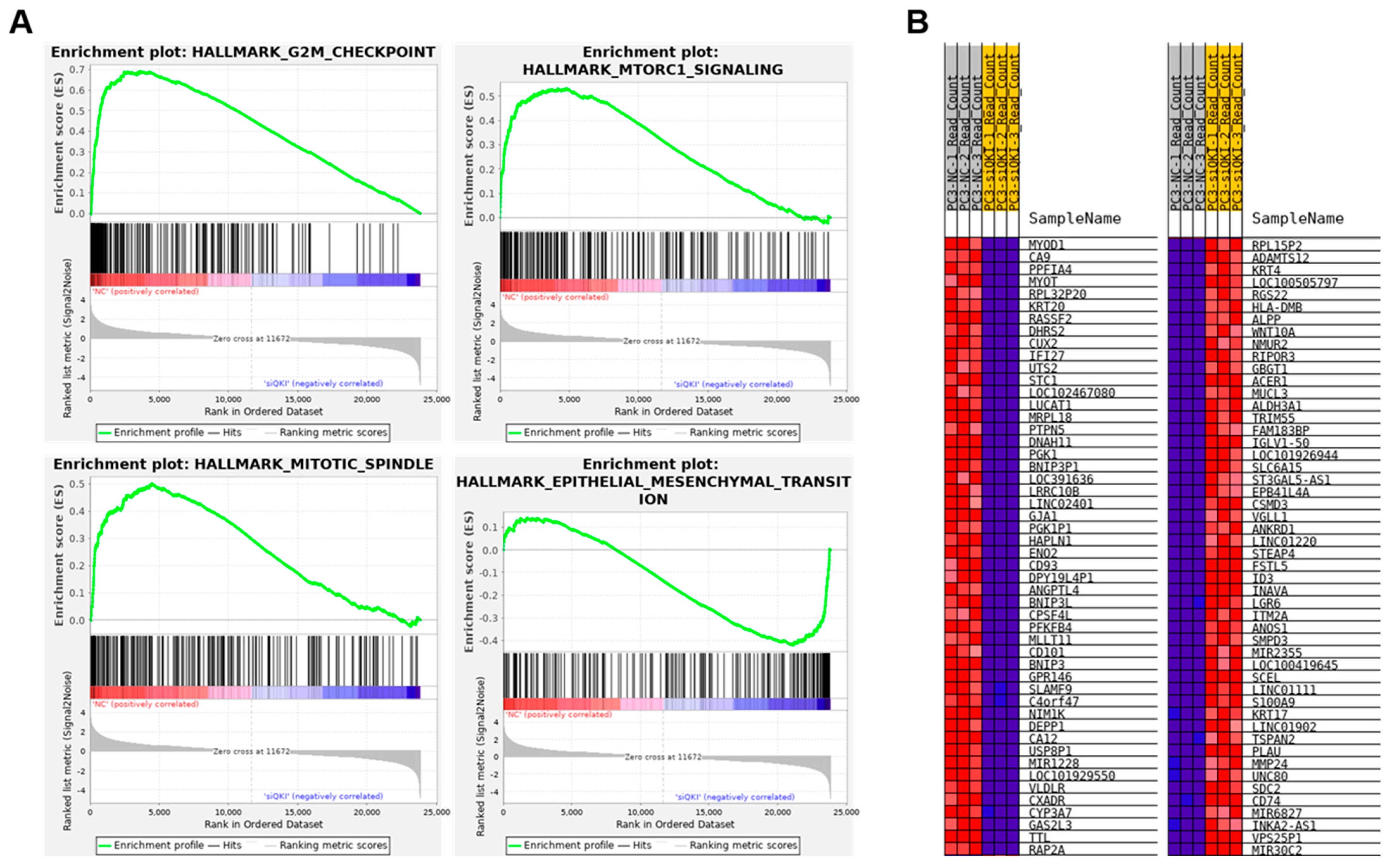 Biomedicines 11 00101 g004 Biomedicines 11 00101 g004