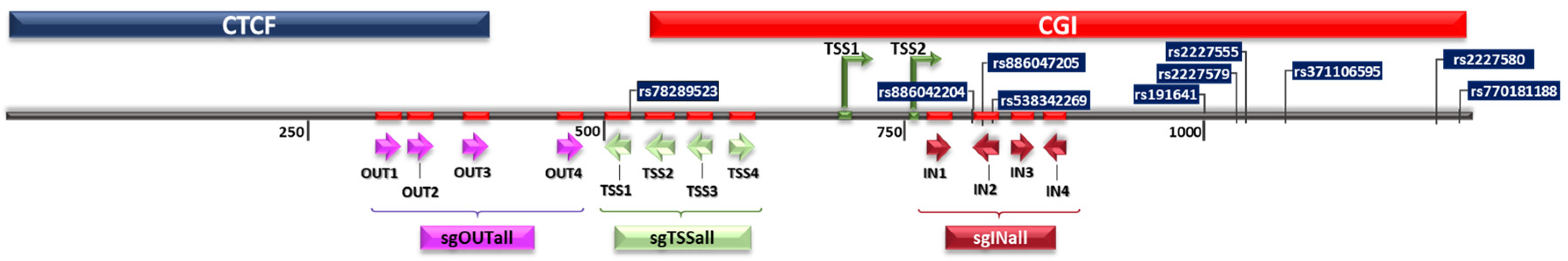 Biomedicines 11 00102 g001