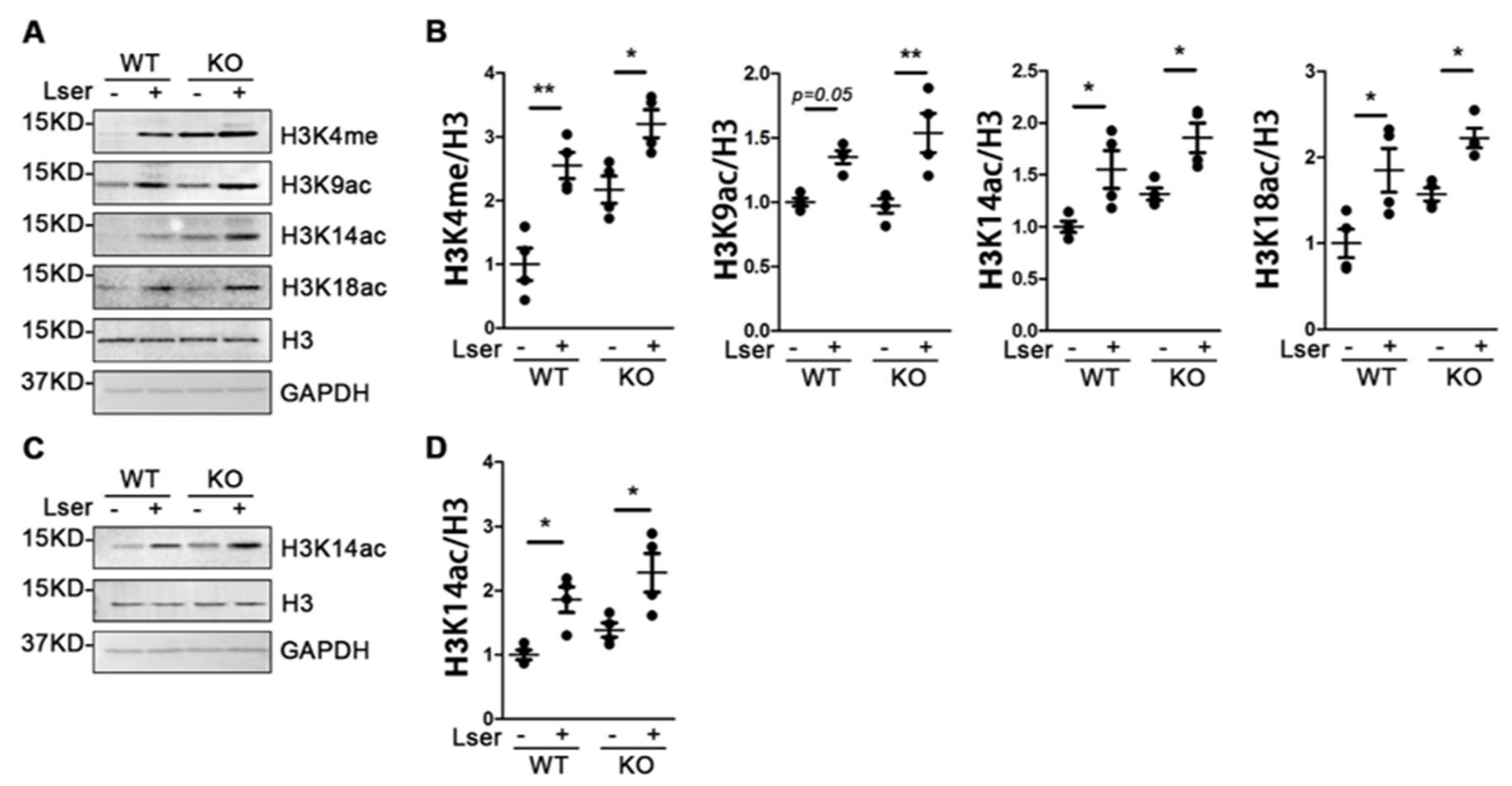 Biomedicines 11 00104 g005 Biomedicines 11 00104 g005