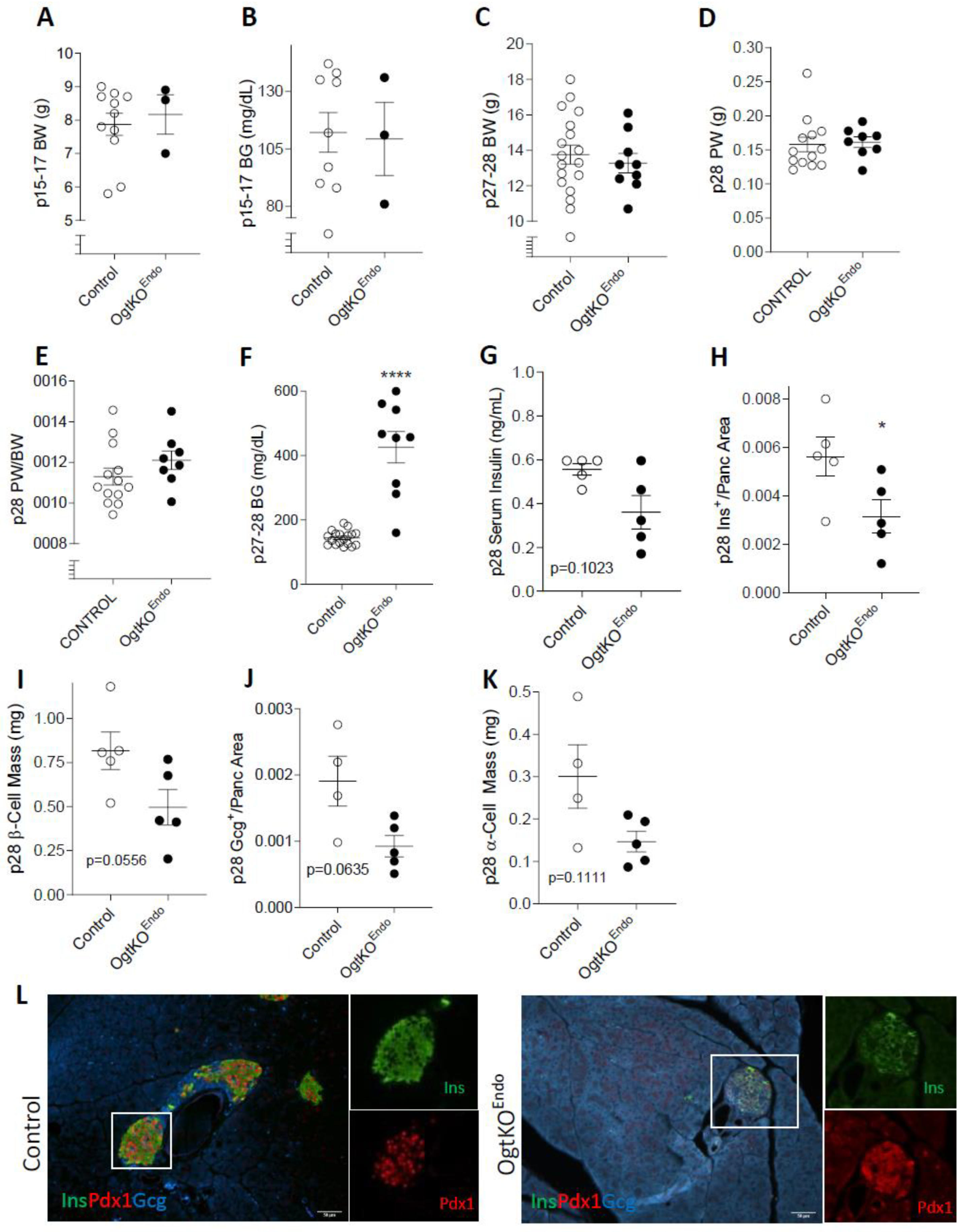 Biomedicines 11 00105 g002 Biomedicines 11 00105 g002