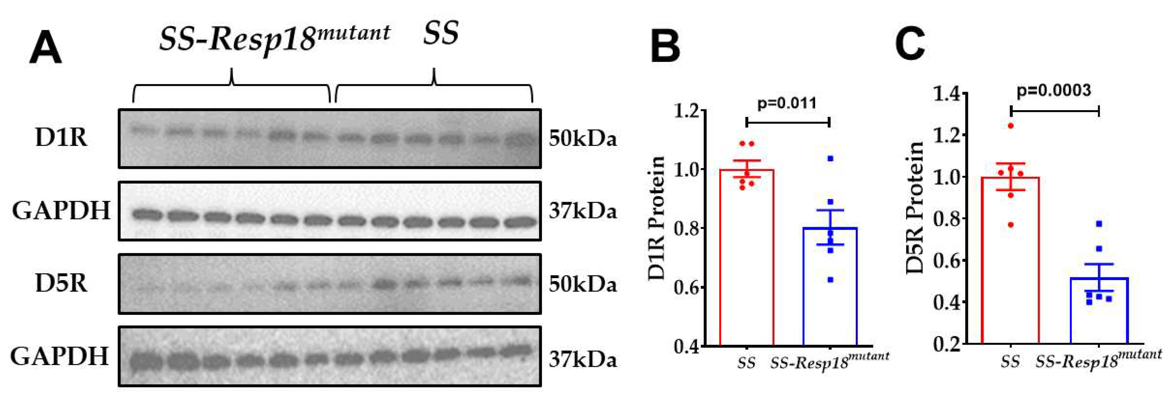 Biomedicines 11 00111 g006 Biomedicines 11 00111 g006