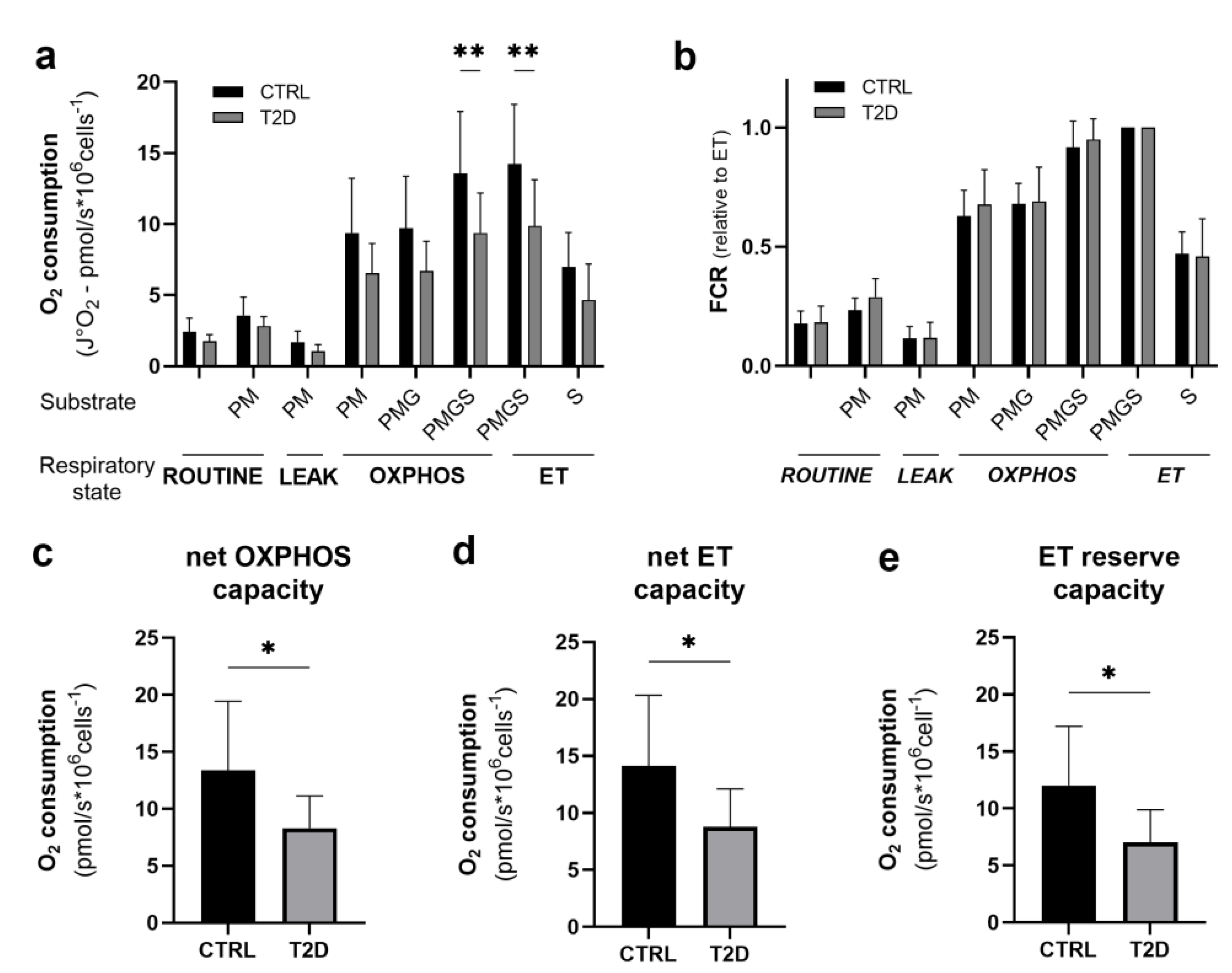 Biomedicines 11 00121 g002 Biomedicines 11 00121 g002