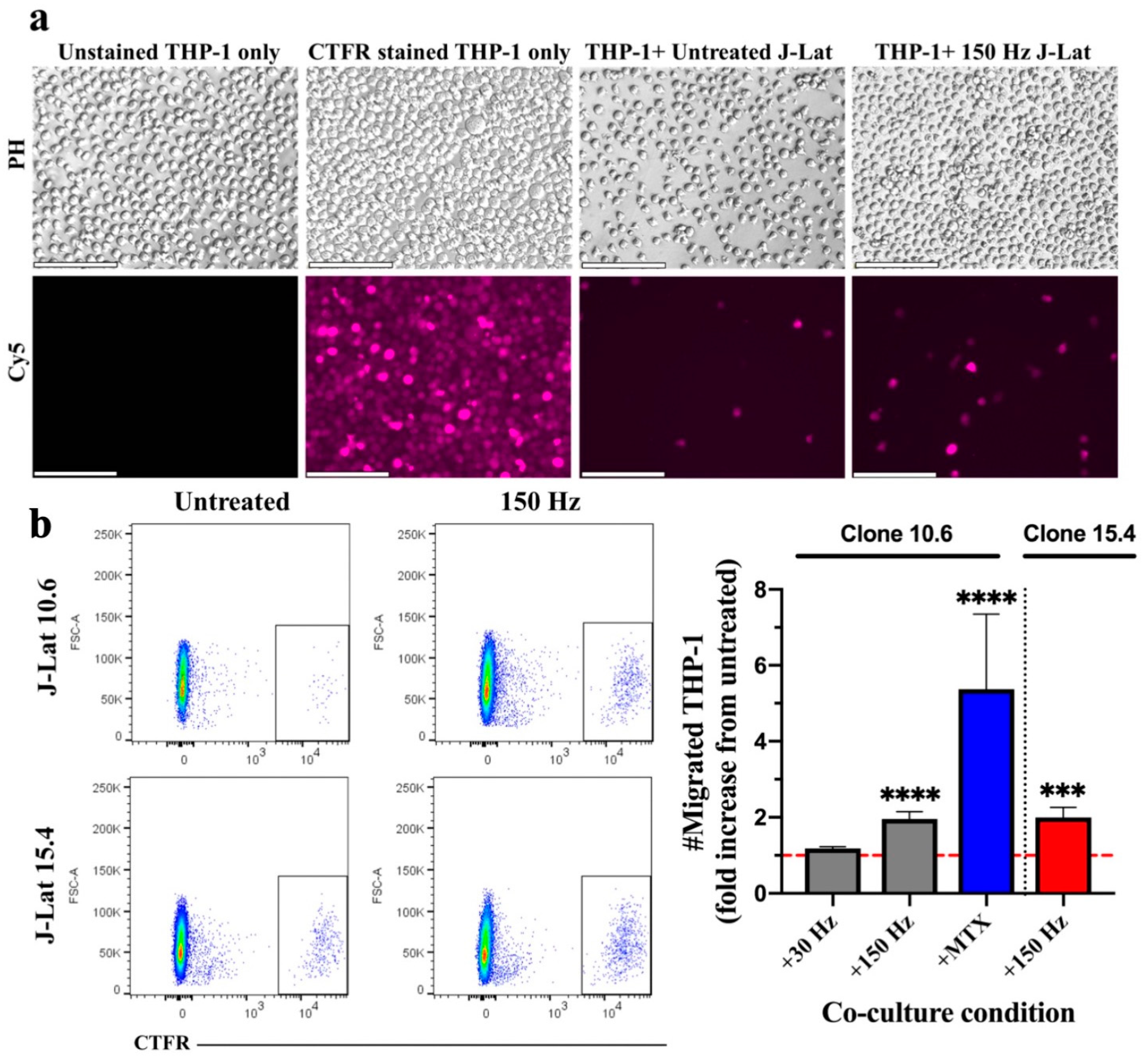 Biomedicines 11 00122 g001