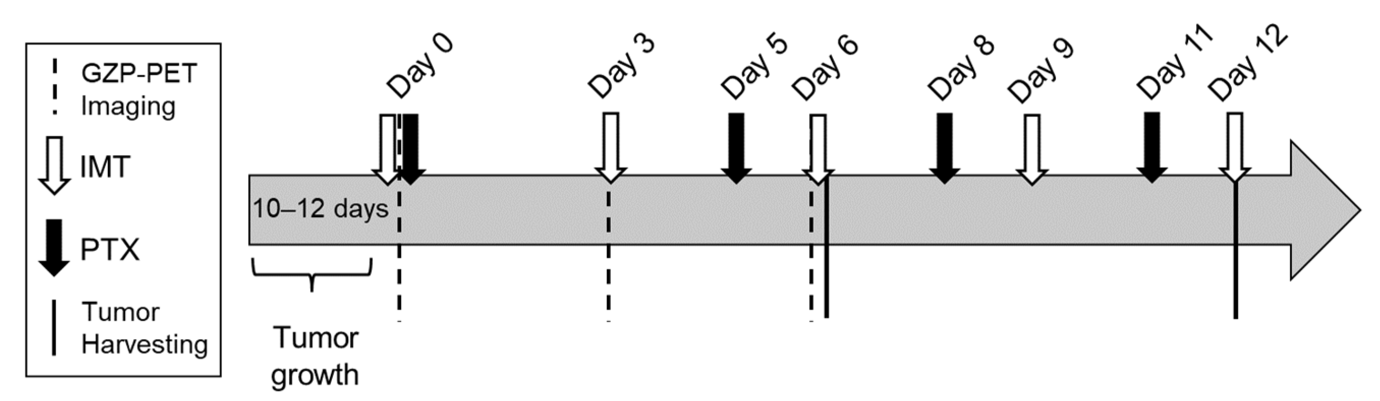 Biomedicines 11 00125 g001