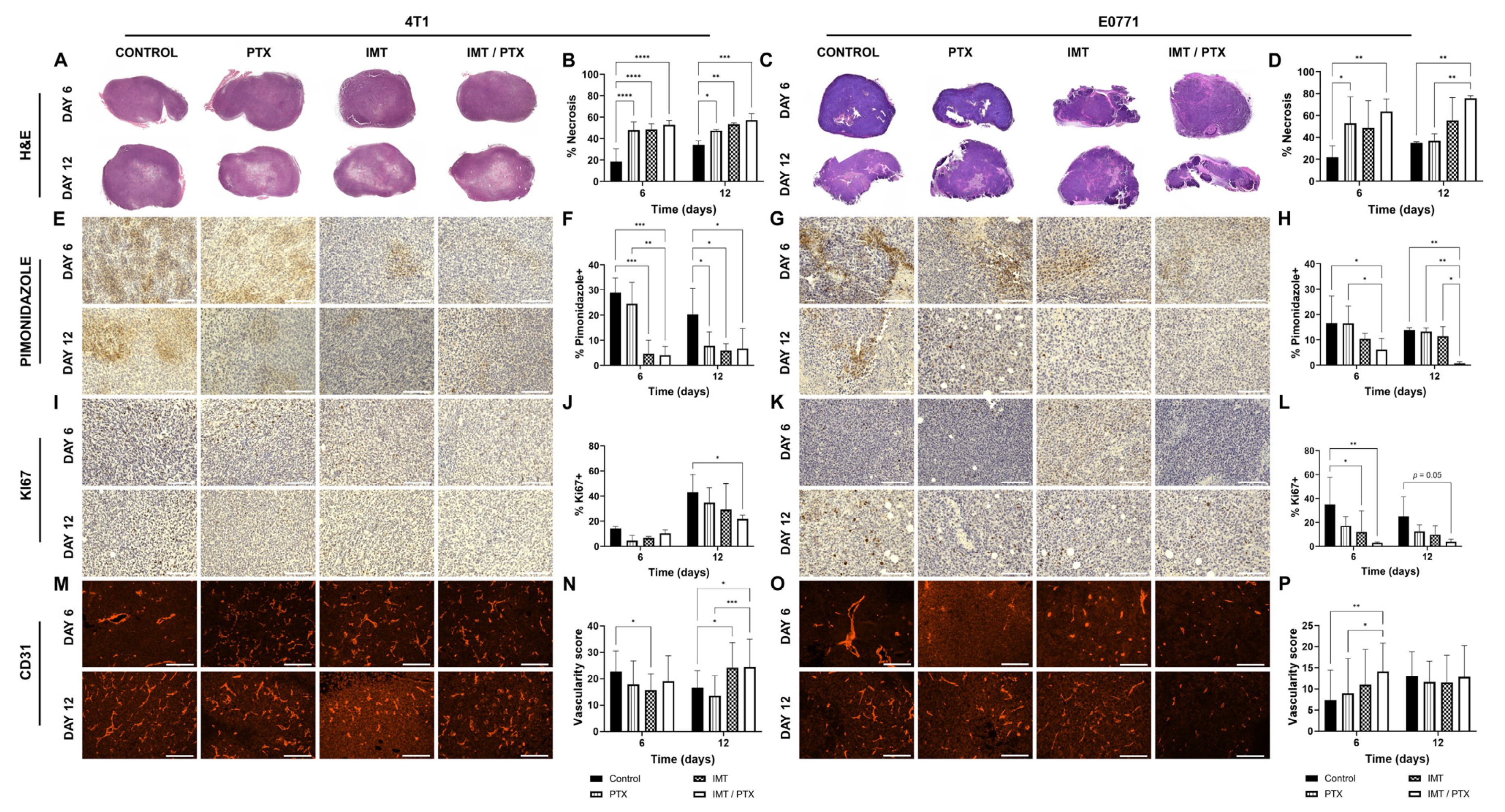 Biomedicines 11 00125 g003