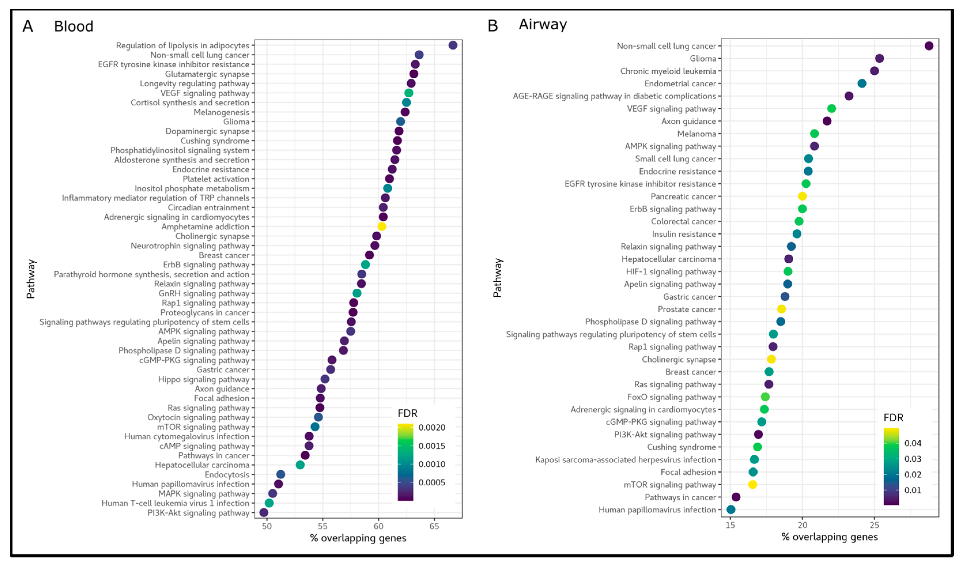 Biomedicines 11 00134 g002