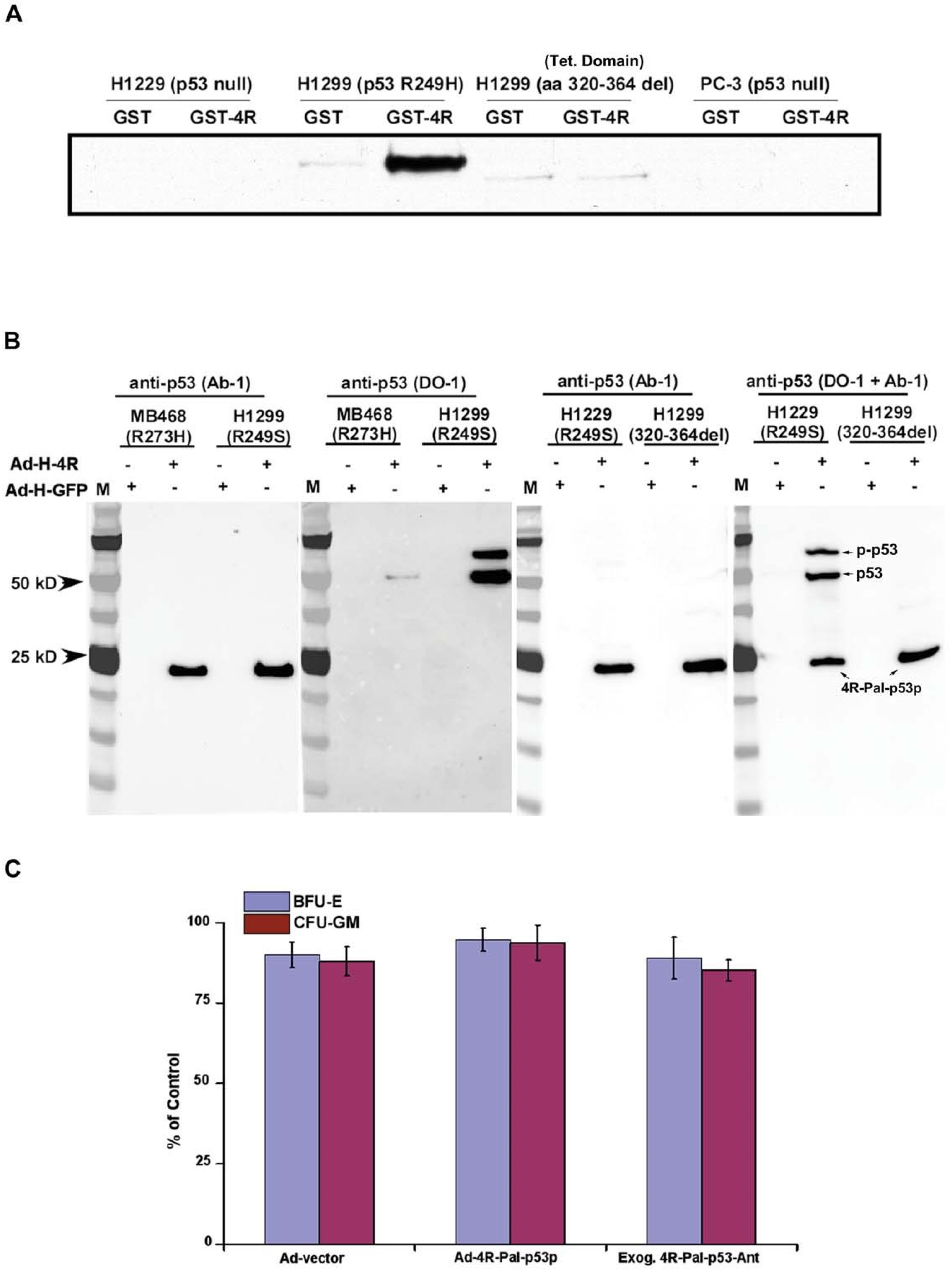 Biomedicines 11 00137 g005