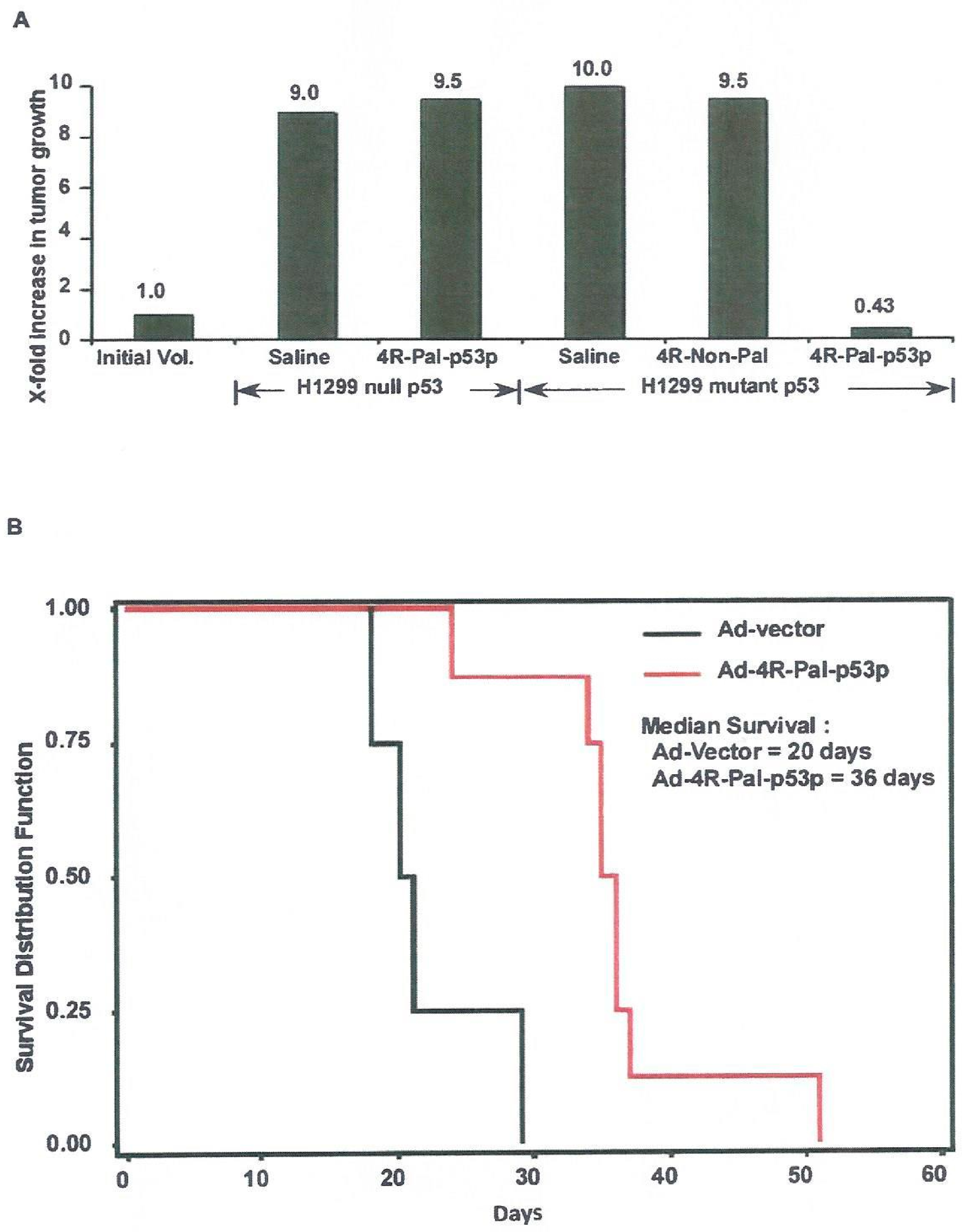 Biomedicines 11 00137 g006
