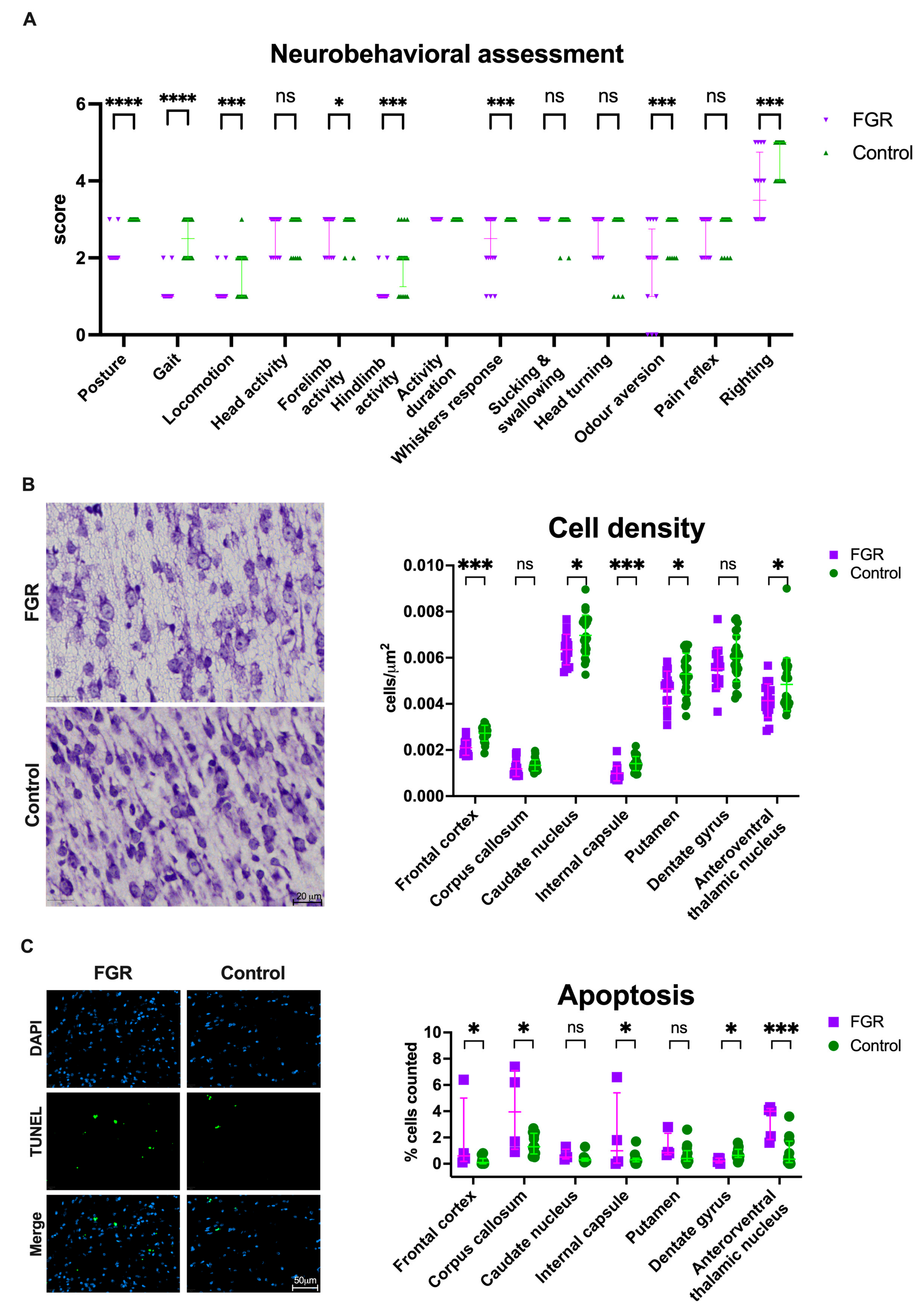 Biomedicines 11 00139 g003