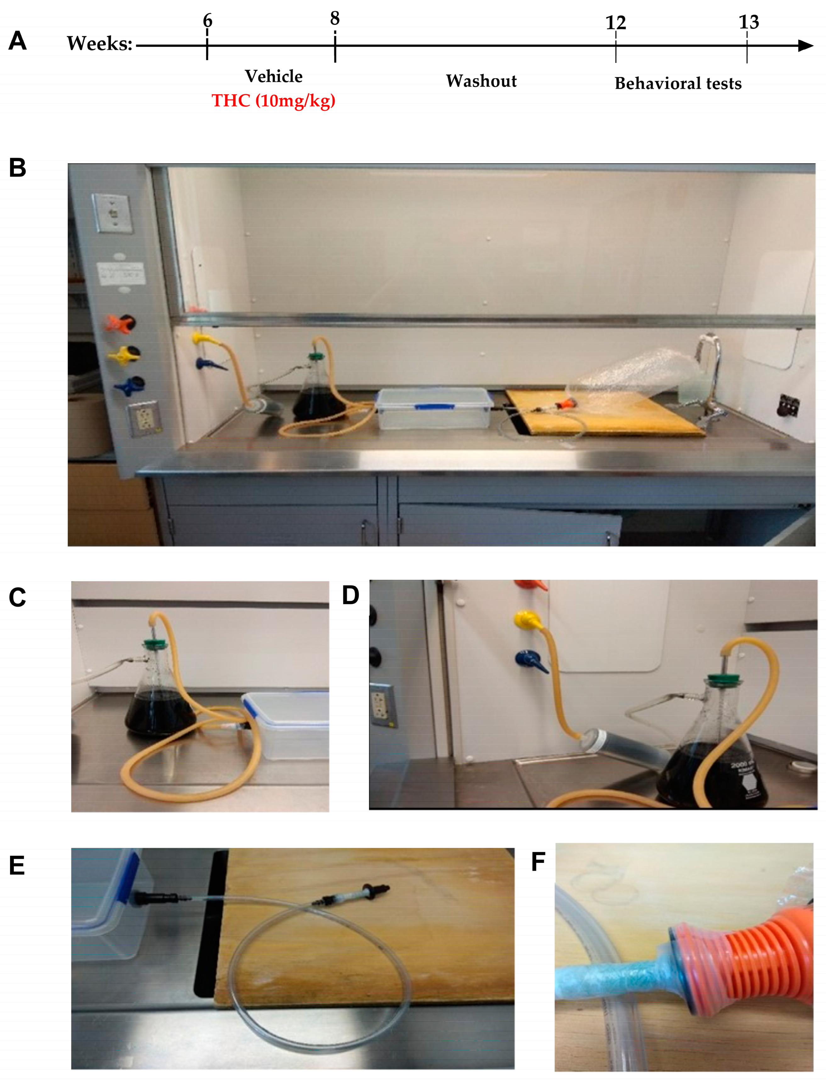 Biomedicines 11 00144 g001 Biomedicines 11 00144 g001