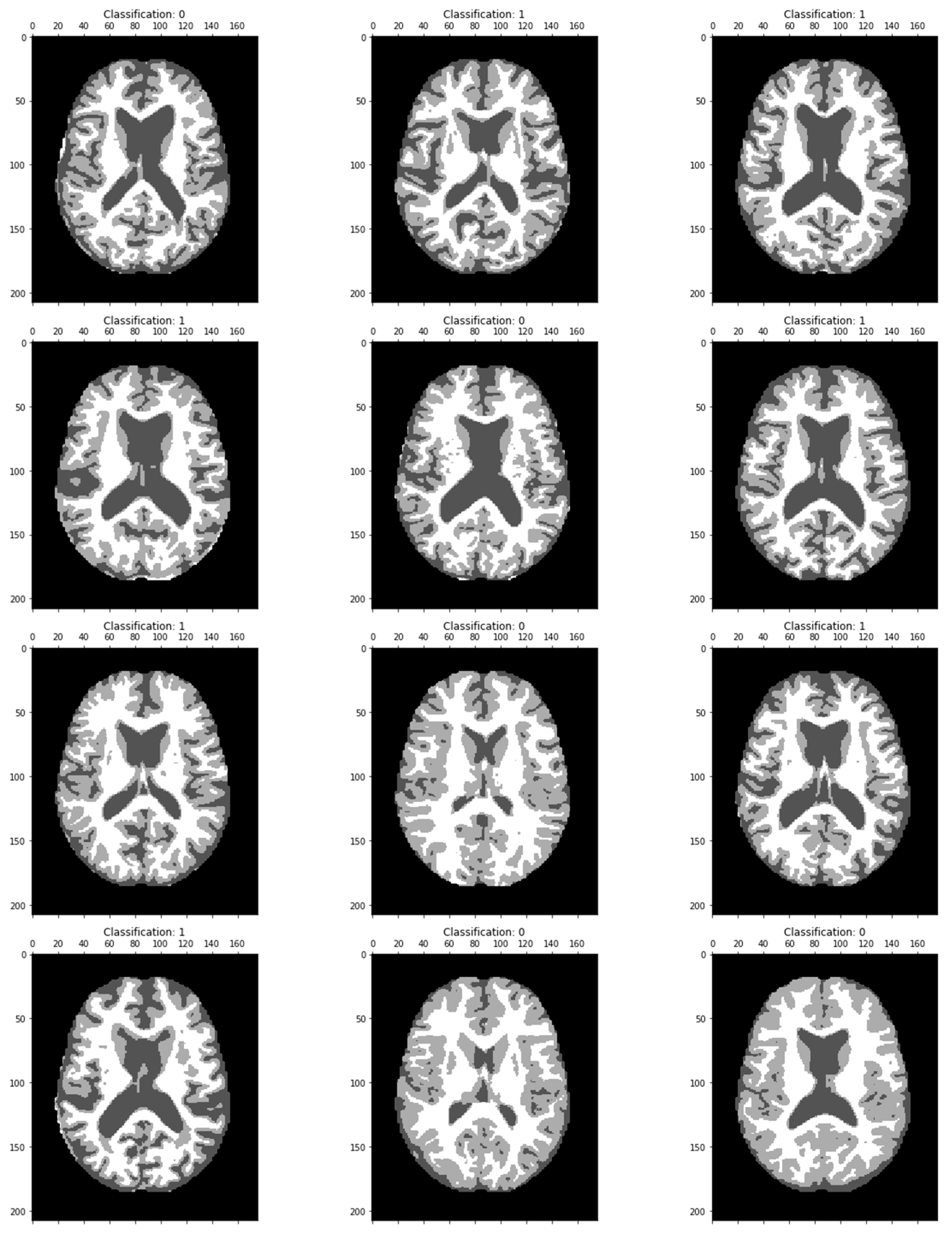 Biomedicines 11 00149 g007