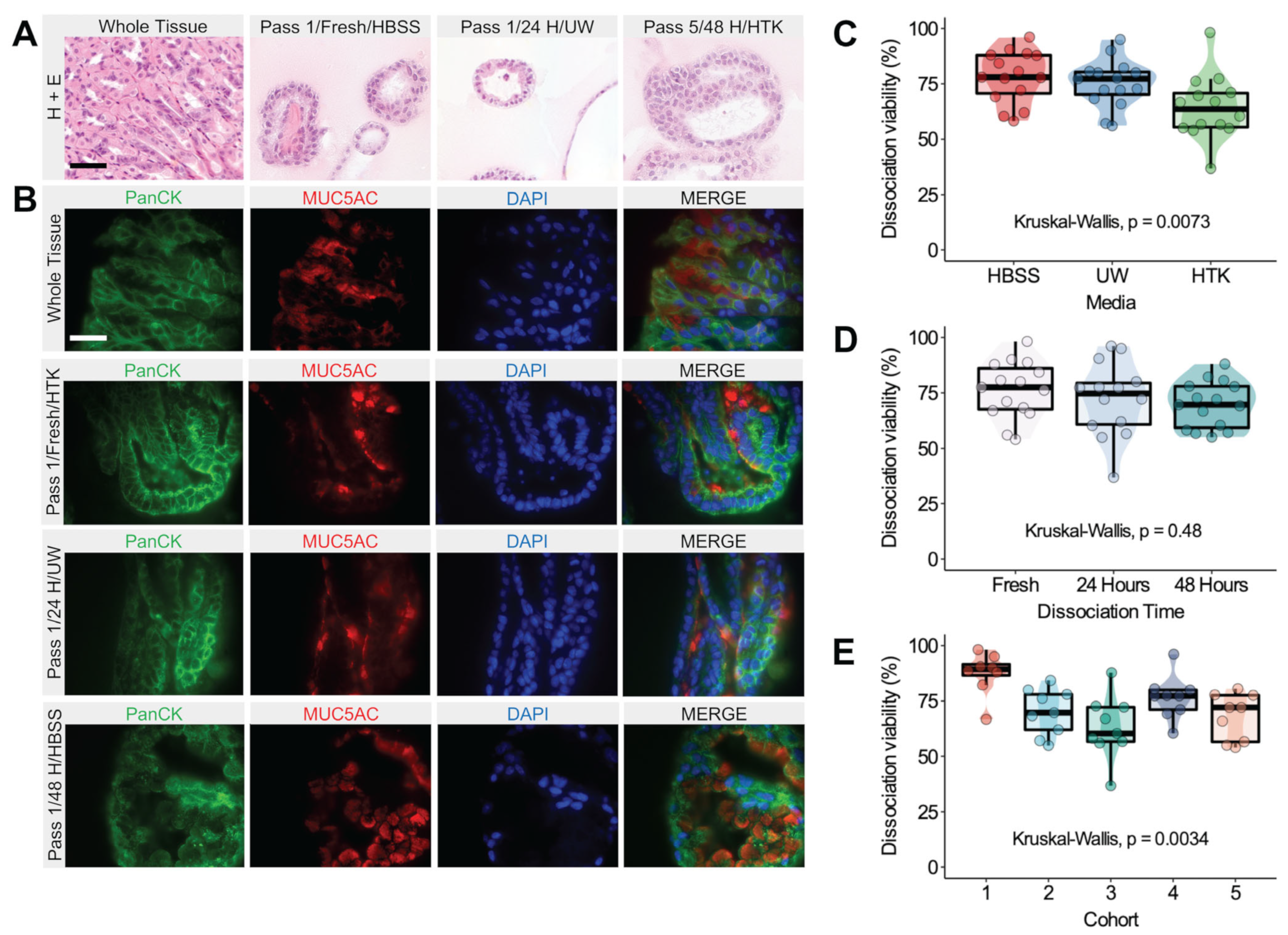 Biomedicines 11 00151 g002 Biomedicines 11 00151 g002