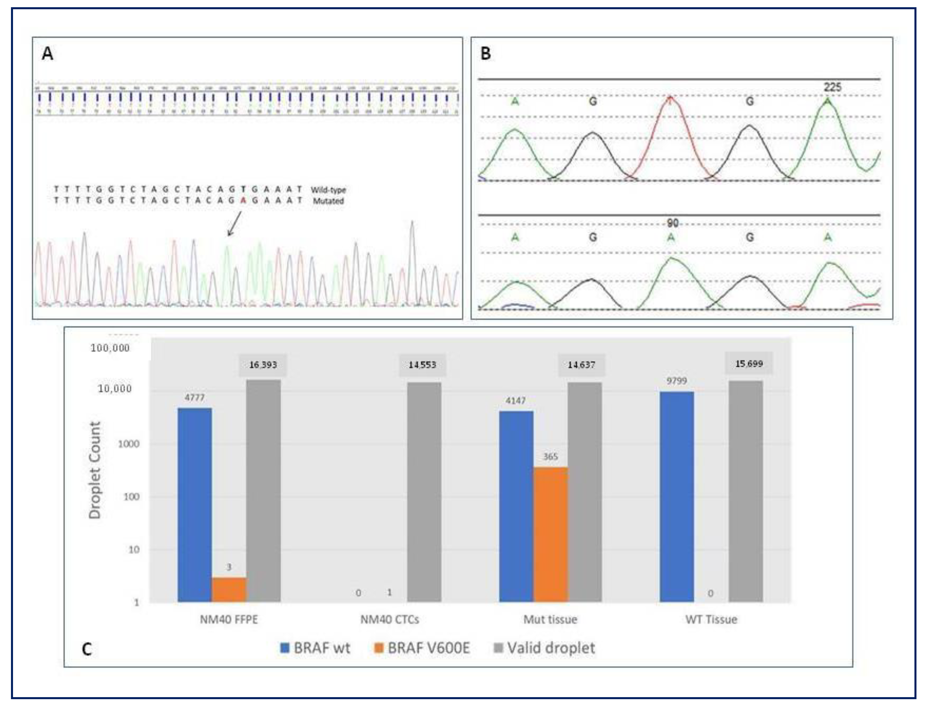Biomedicines 11 00153 g006 Biomedicines 11 00153 g006