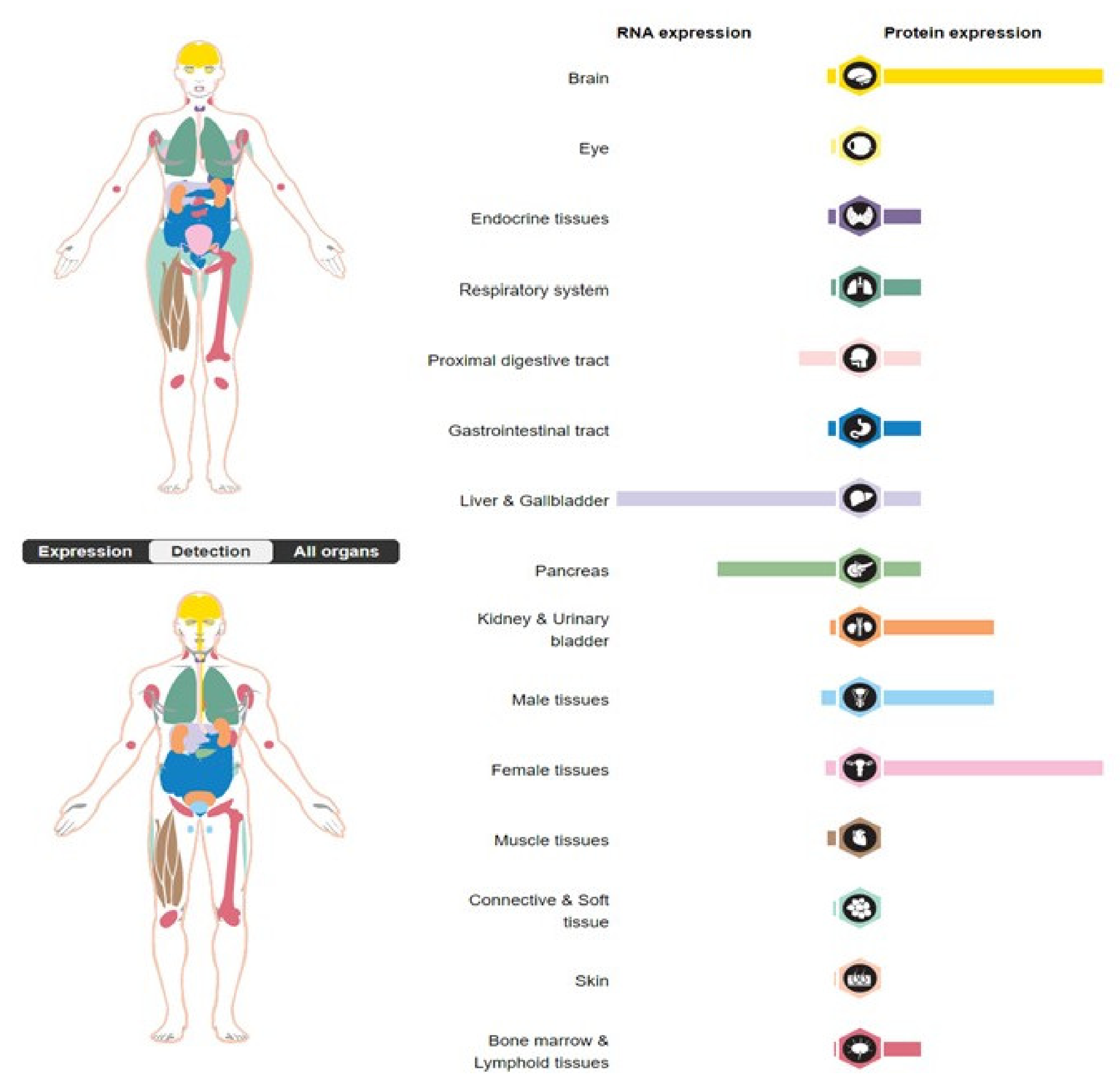 Biomedicines 11 00156 g002 Biomedicines 11 00156 g002