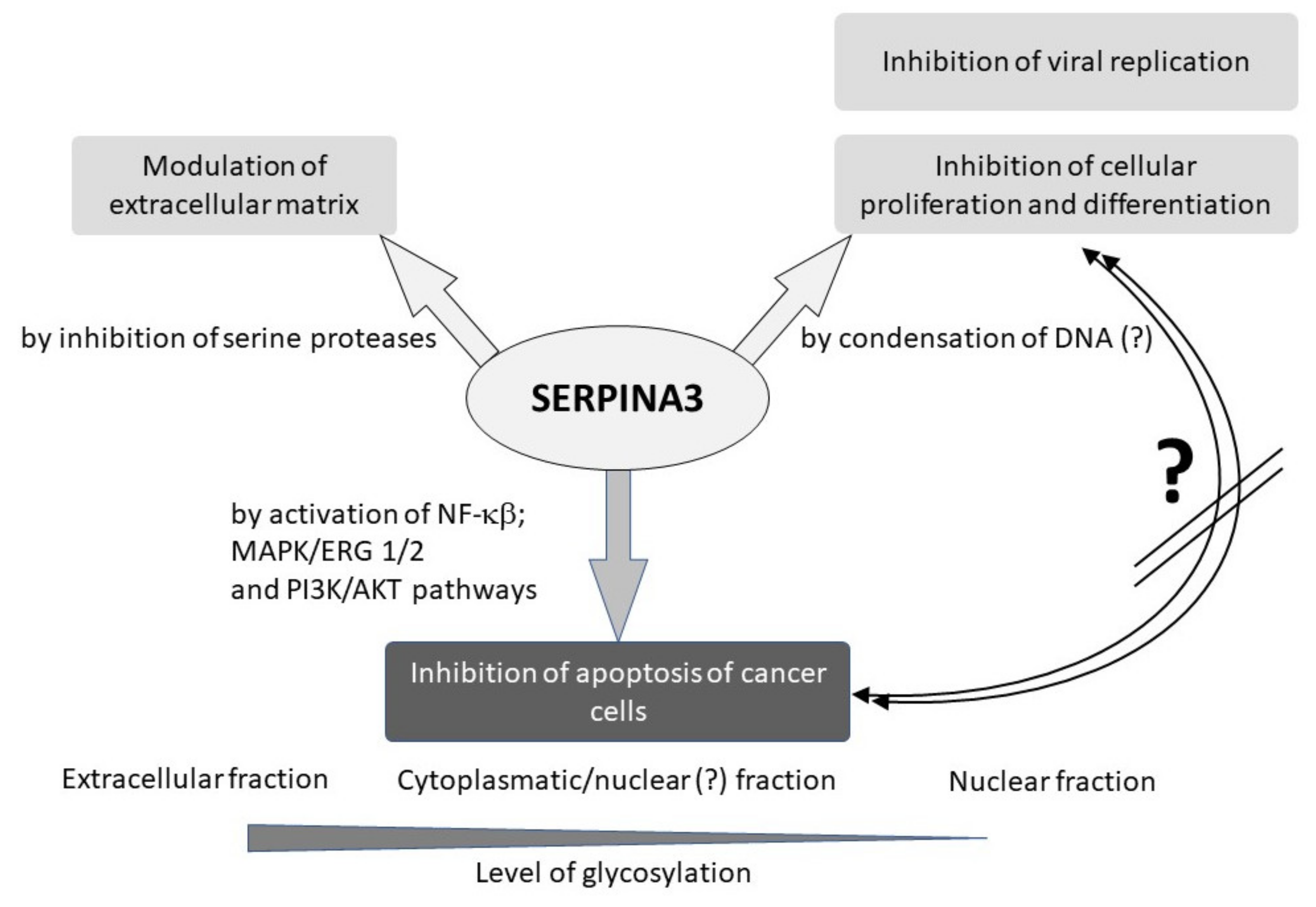Biomedicines 11 00156 g004 Biomedicines 11 00156 g004