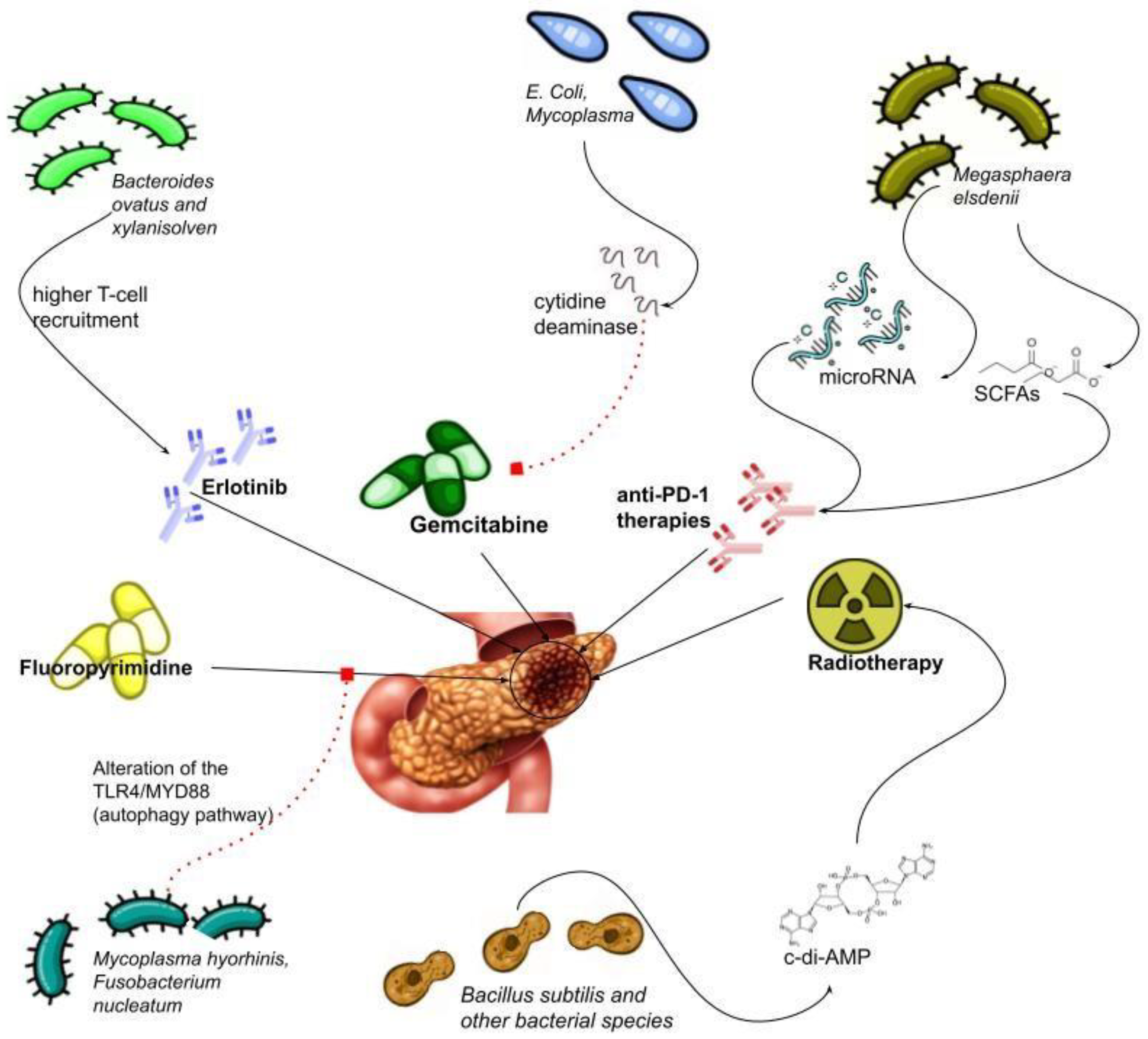Biomedicines 11 00157 g001 Biomedicines 11 00157 g001