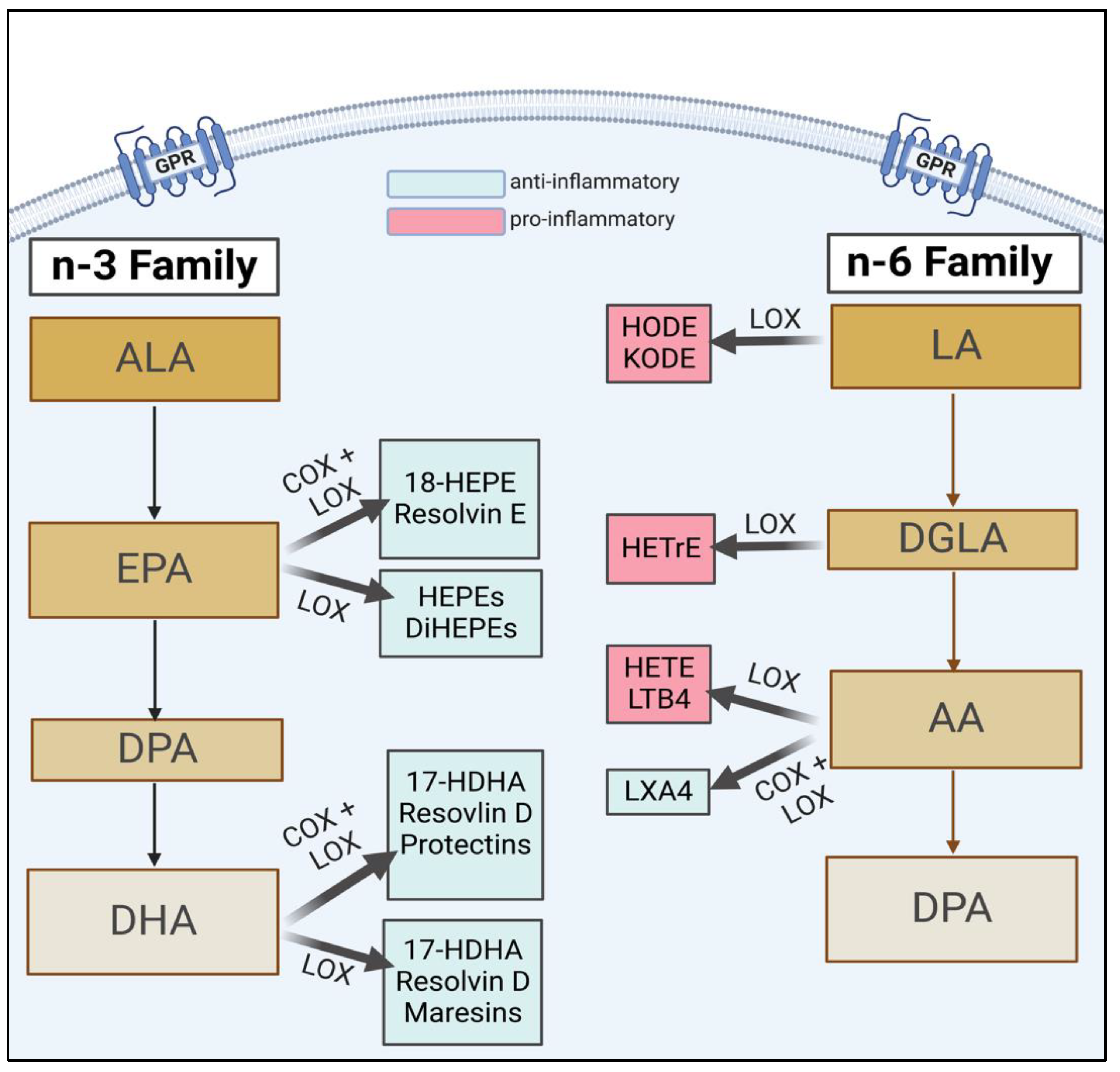 Biomedicines 11 00171 g001 Biomedicines 11 00171 g001