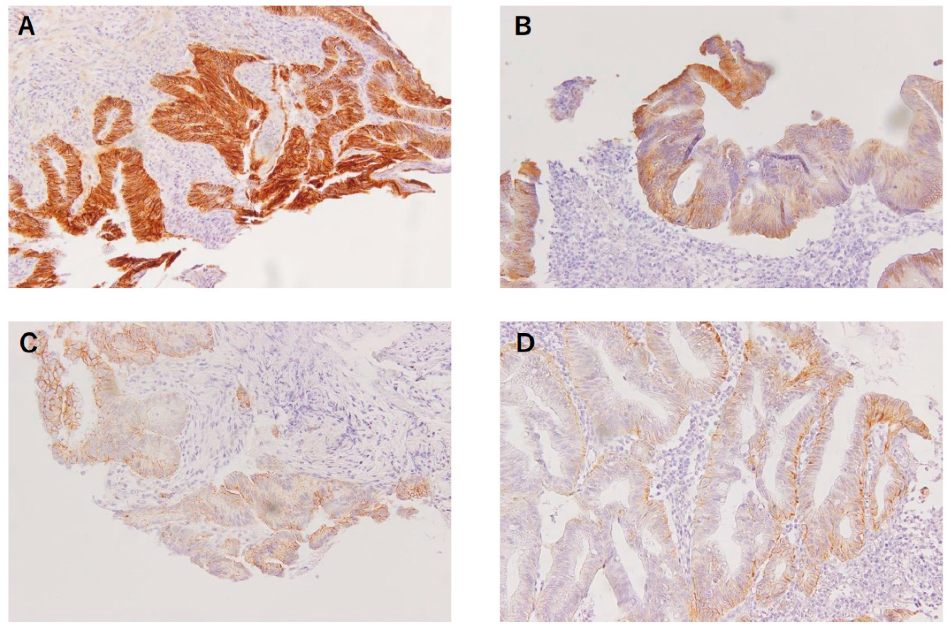 Biomedicines 11 00174 g001 Biomedicines 11 00174 g001