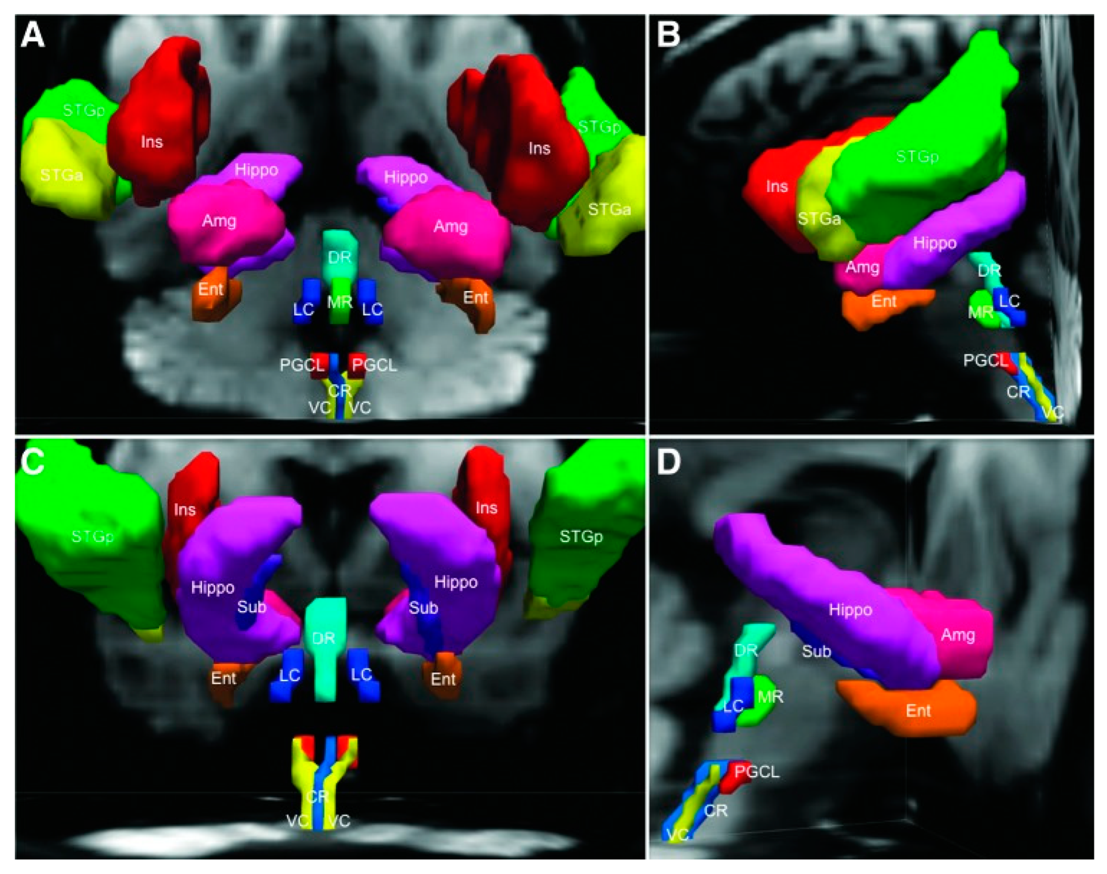 Biomedicines 11 00180 g005 Biomedicines 11 00180 g005