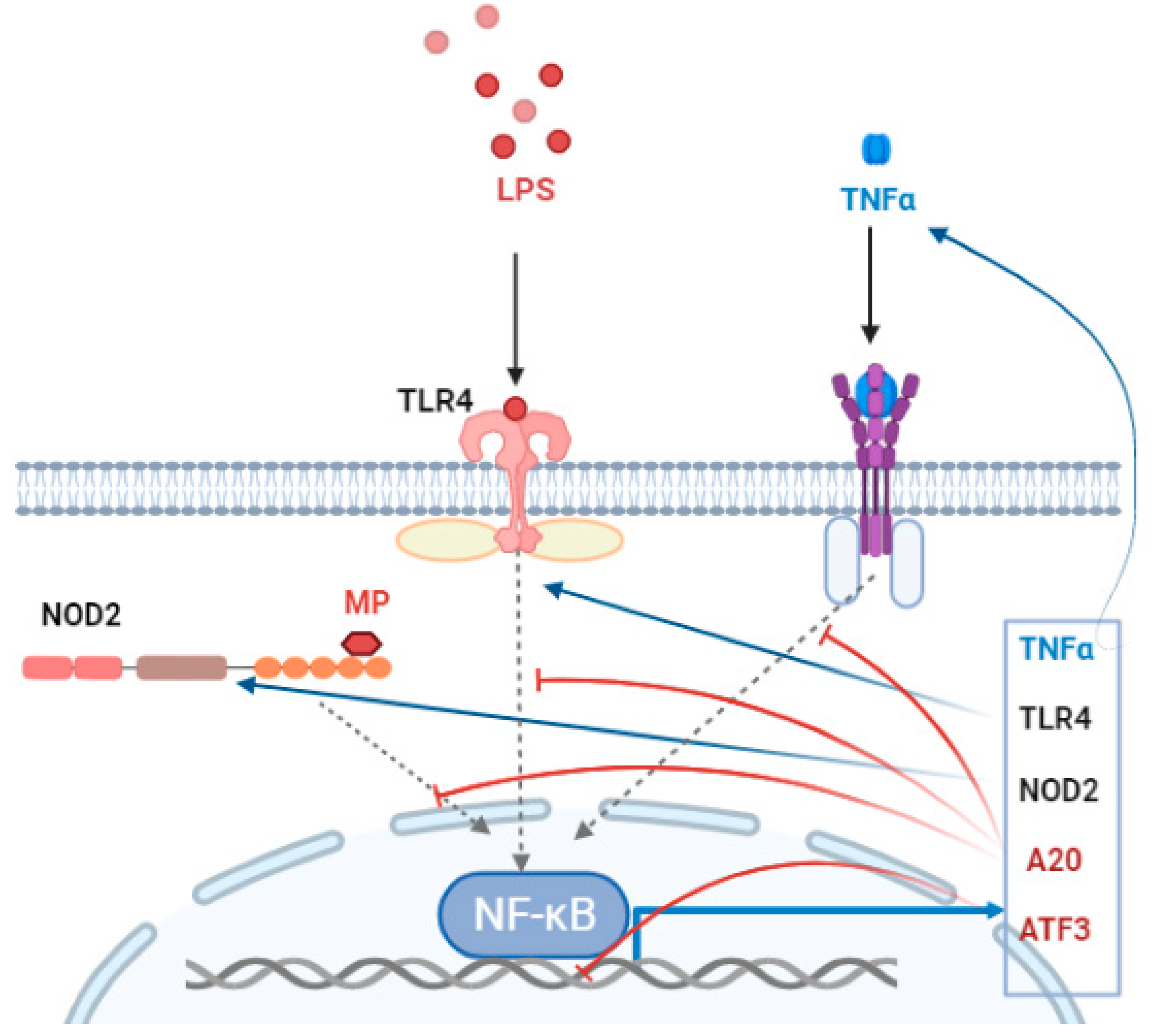 Biomedicines 11 00183 g003 Biomedicines 11 00183 g003