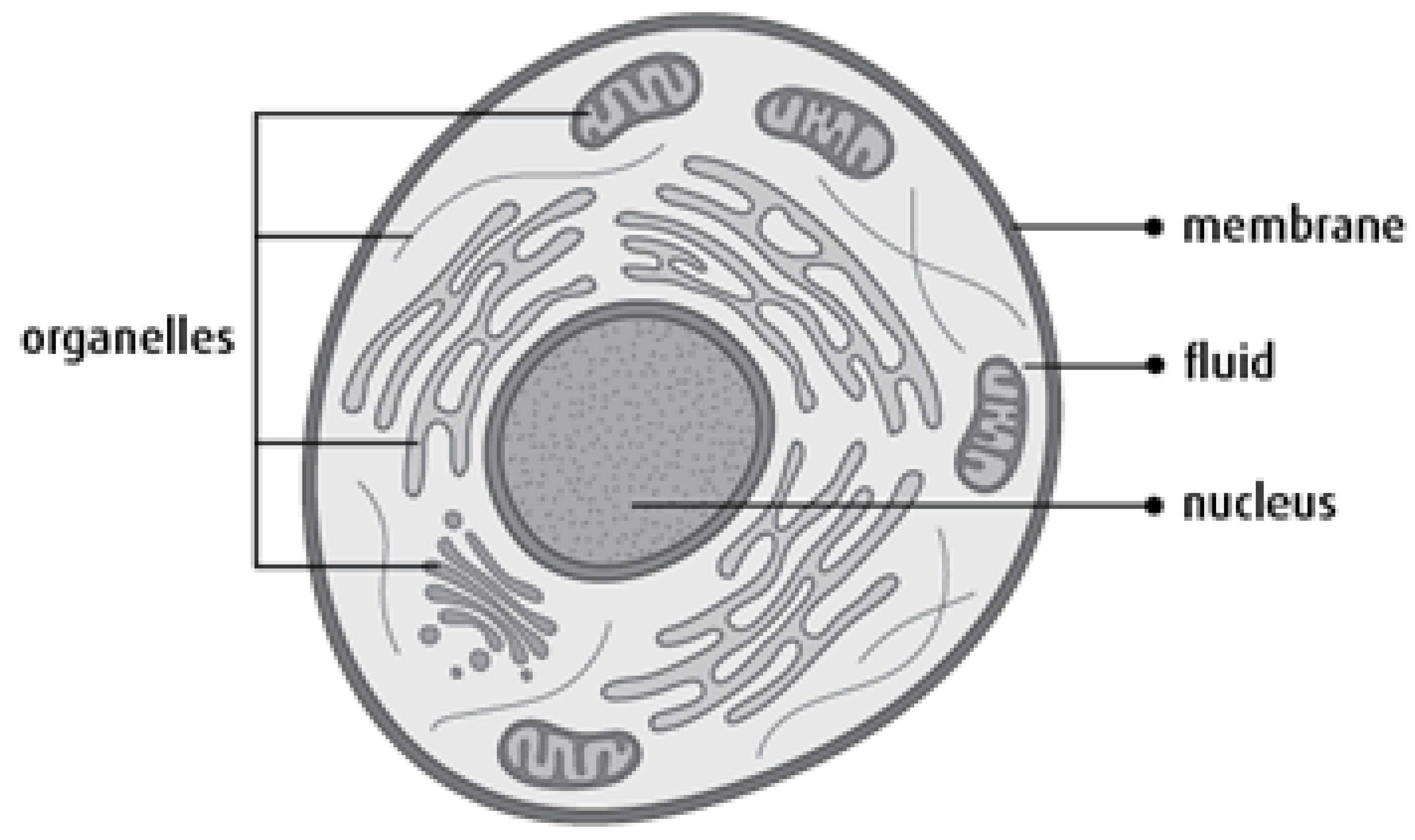 Biomedicines 11 00184 g001