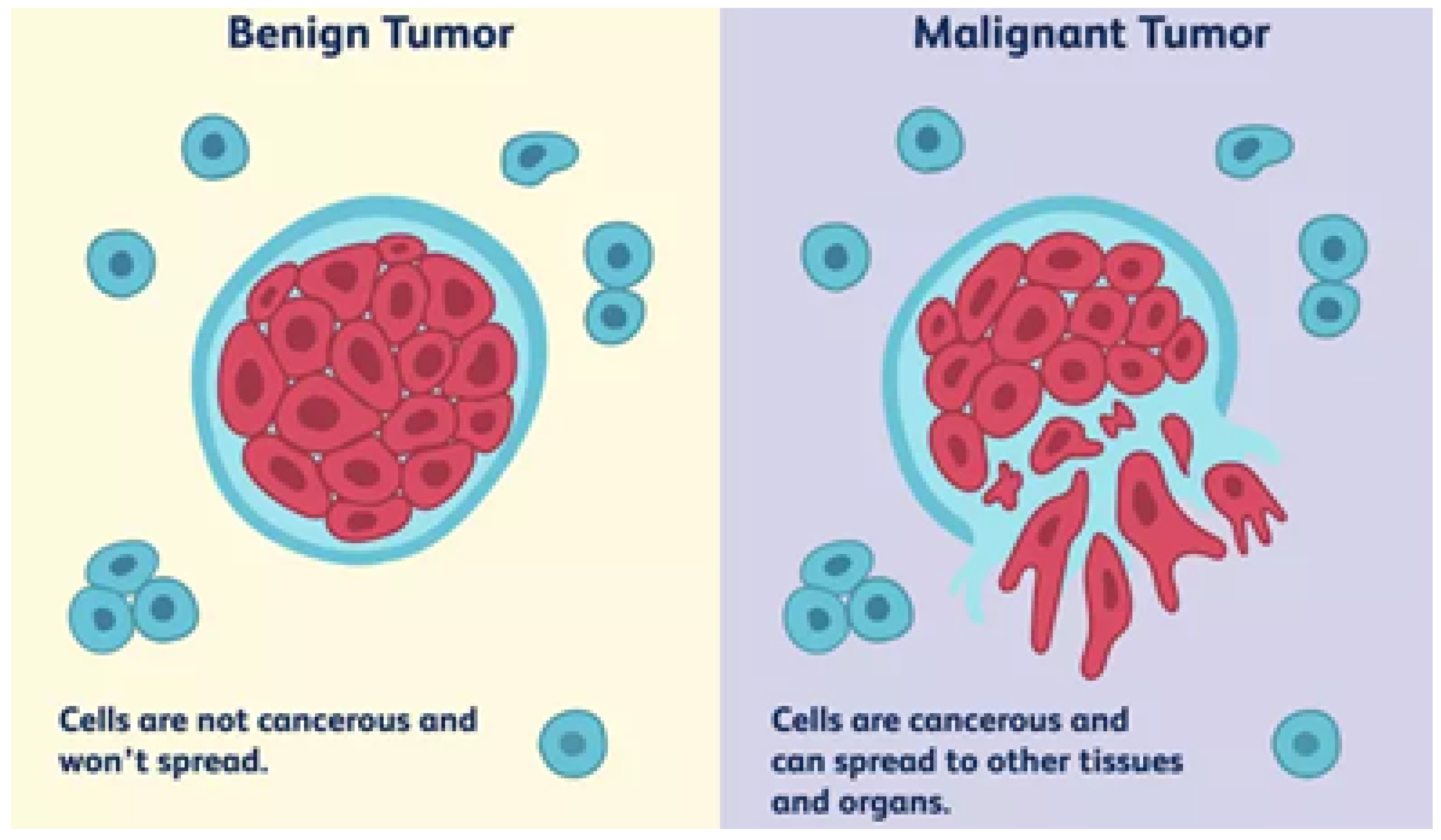 Biomedicines 11 00184 g004