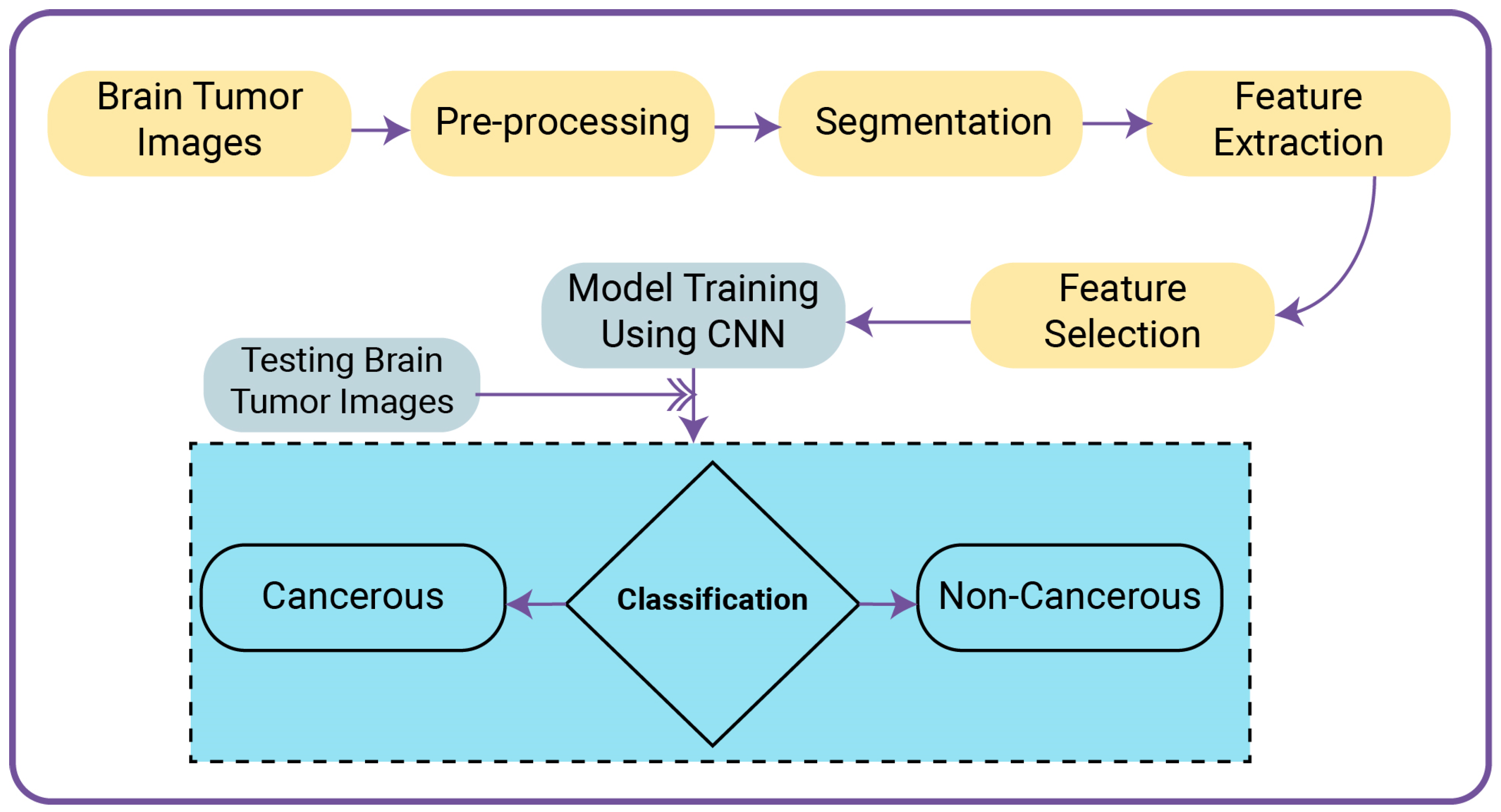 Biomedicines 11 00184 g008
