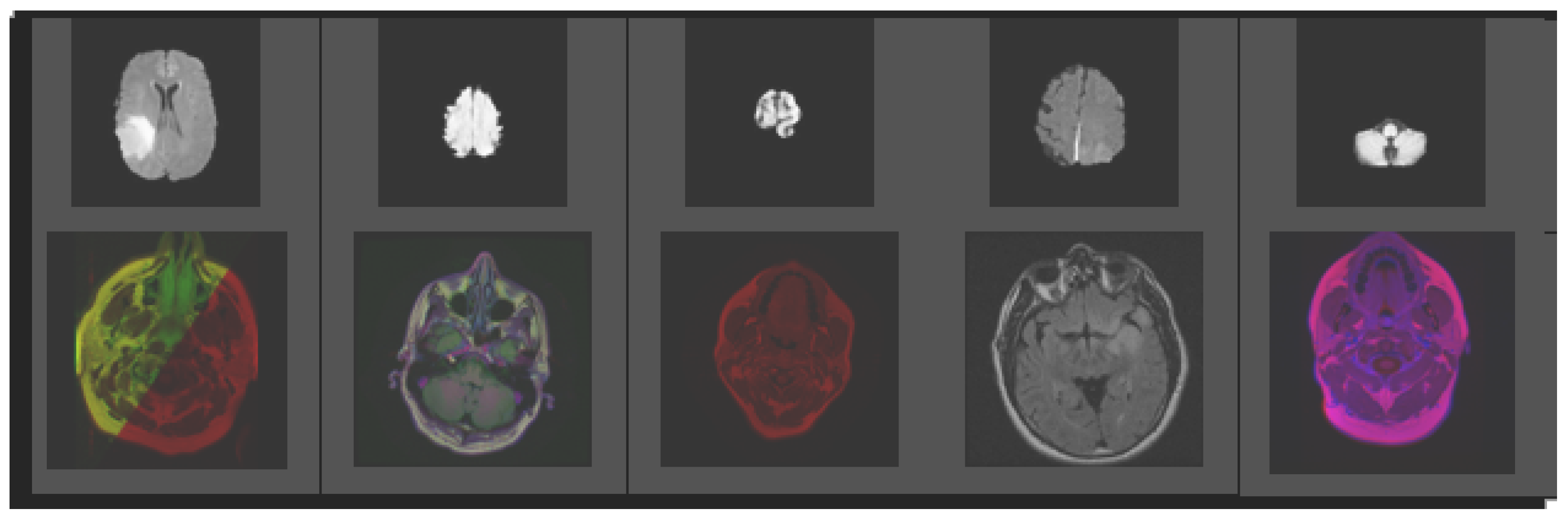 Biomedicines 11 00184 g010