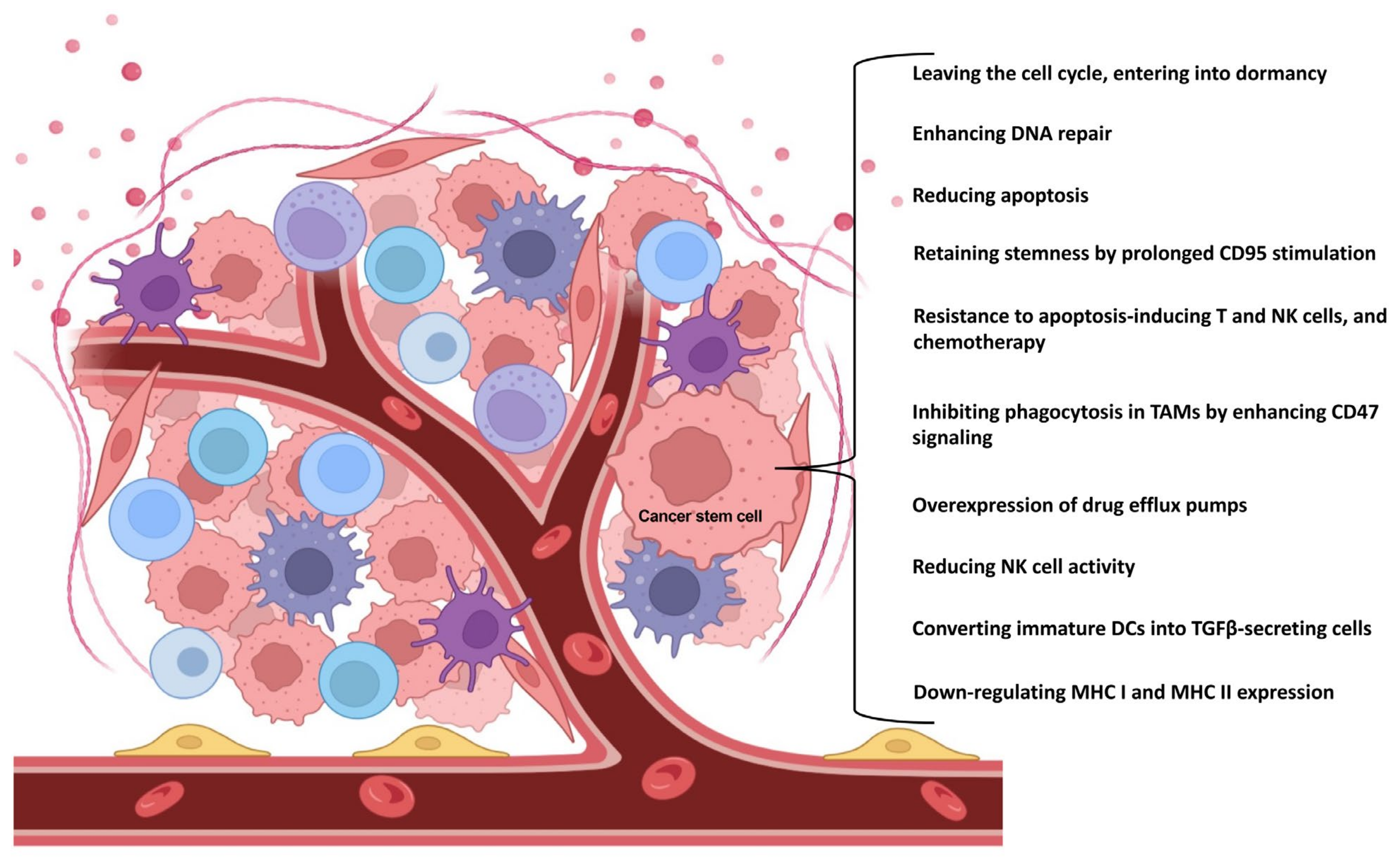 Arsenic Trioxide Induces Apoptosis of Human Monocytes during Macrophagic  Differentiation through Nuclear Factor-κB-Related Survival Pathway  Down-Regulation