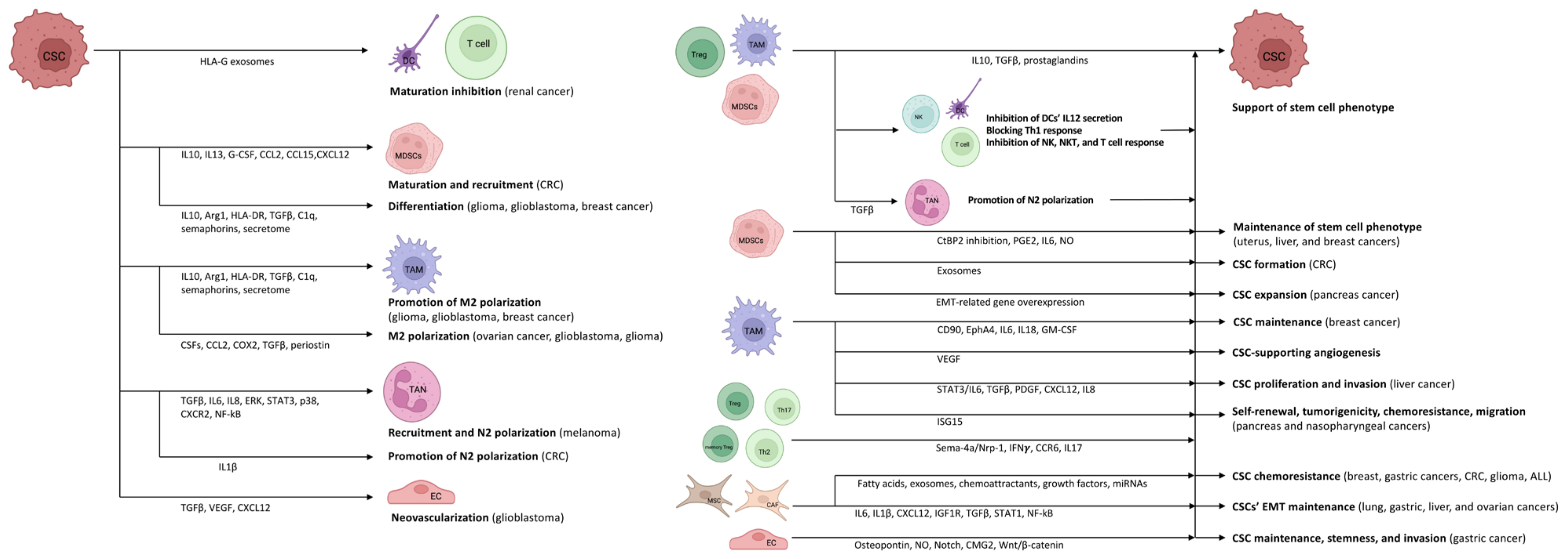 Biomedicines 11 00189 g002 Biomedicines 11 00189 g002