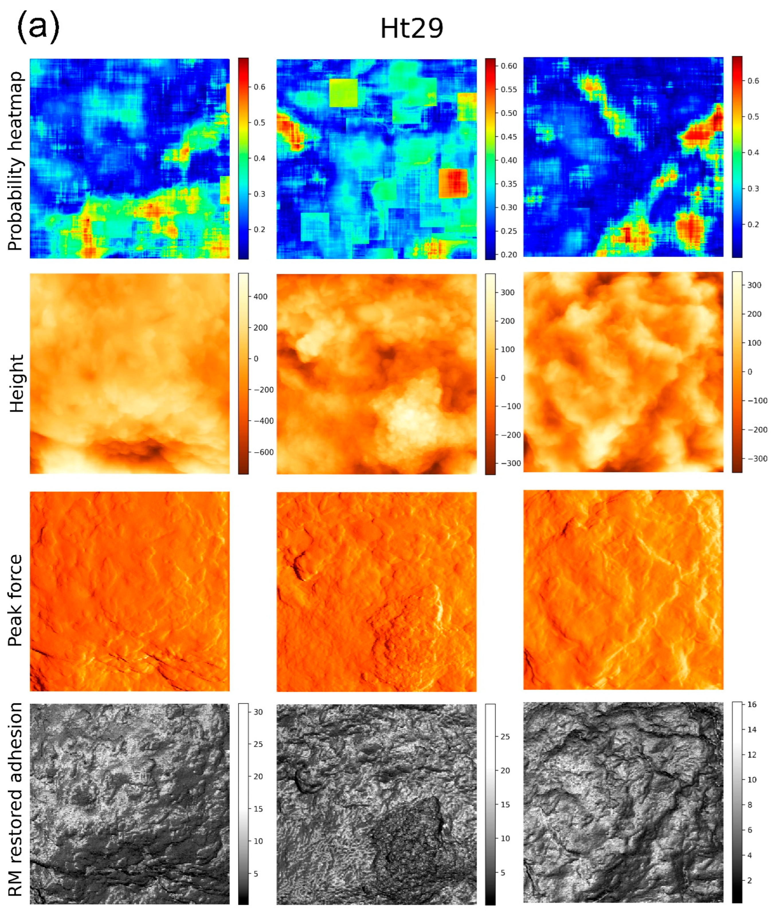 Biomedicines 11 00191 g003a