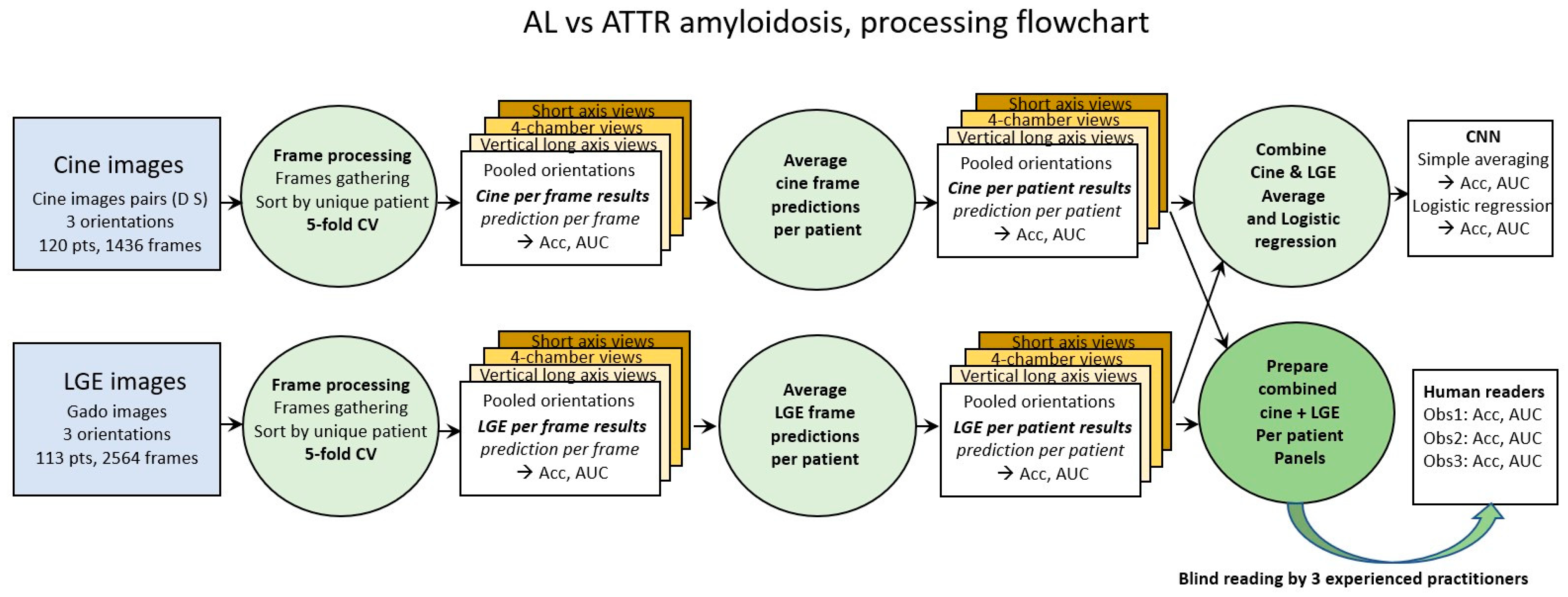 Biomedicines 11 00193 g001