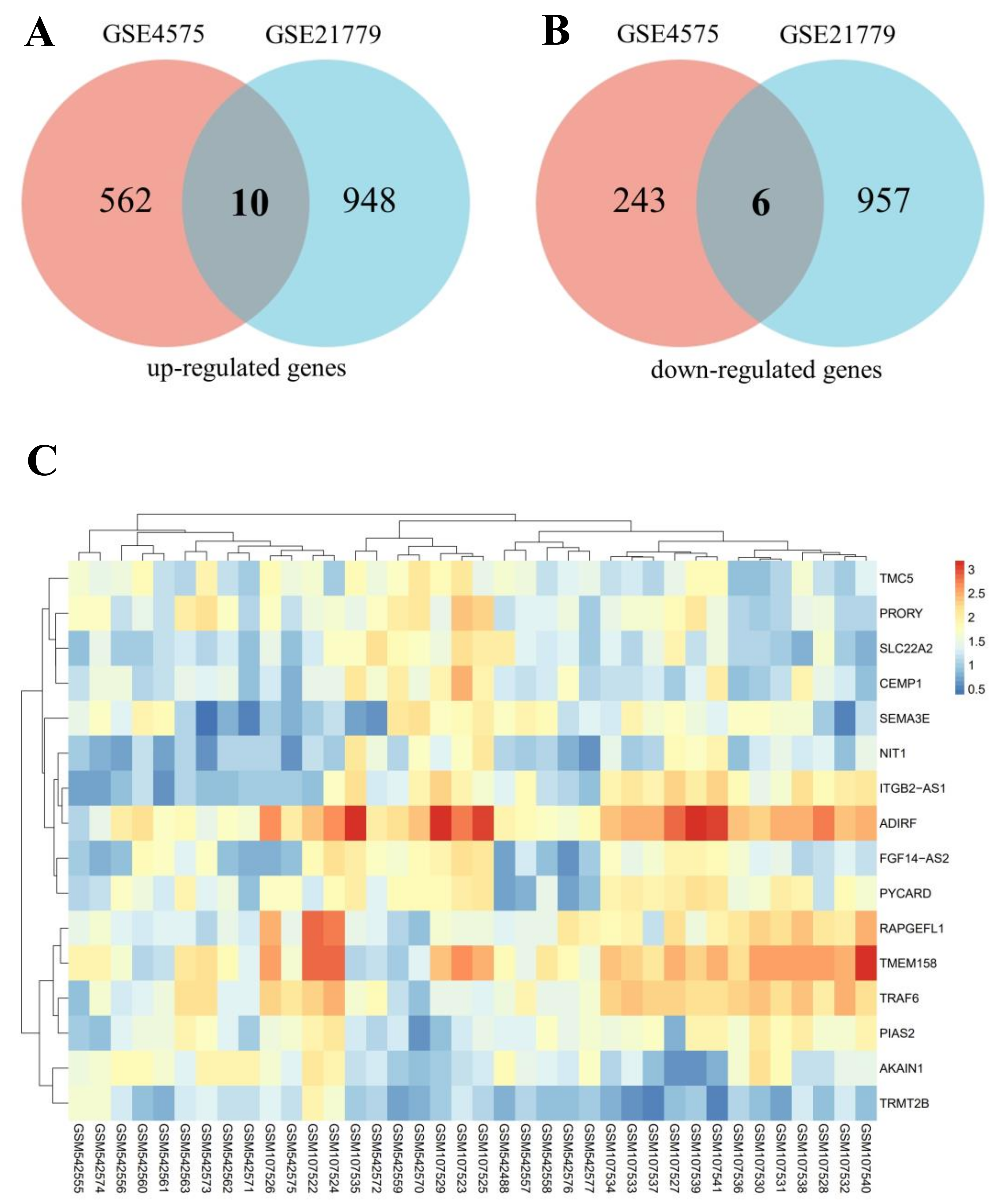 Biomedicines 11 00194 g002