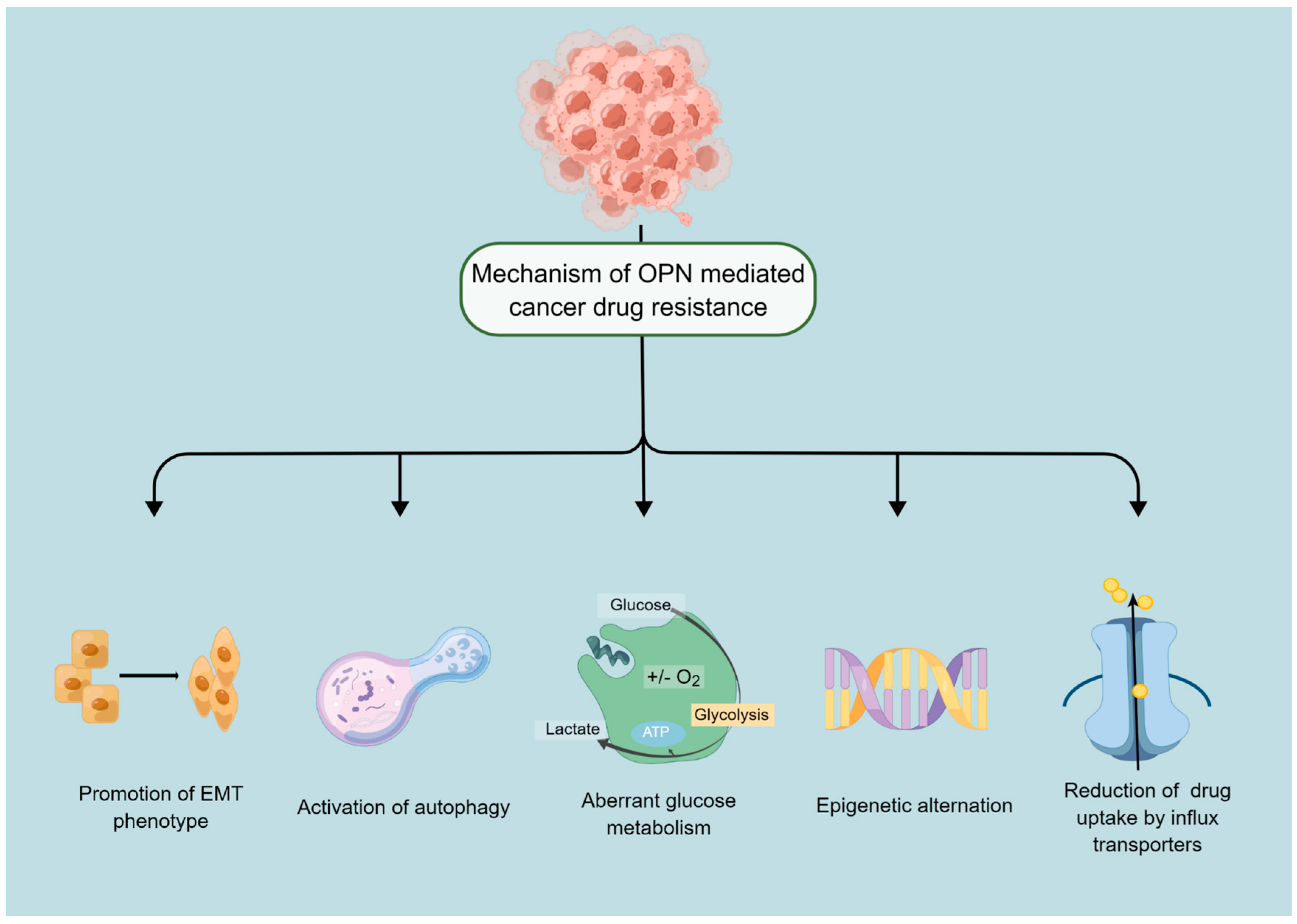 Biomedicines 11 00197 g001 Biomedicines 11 00197 g001