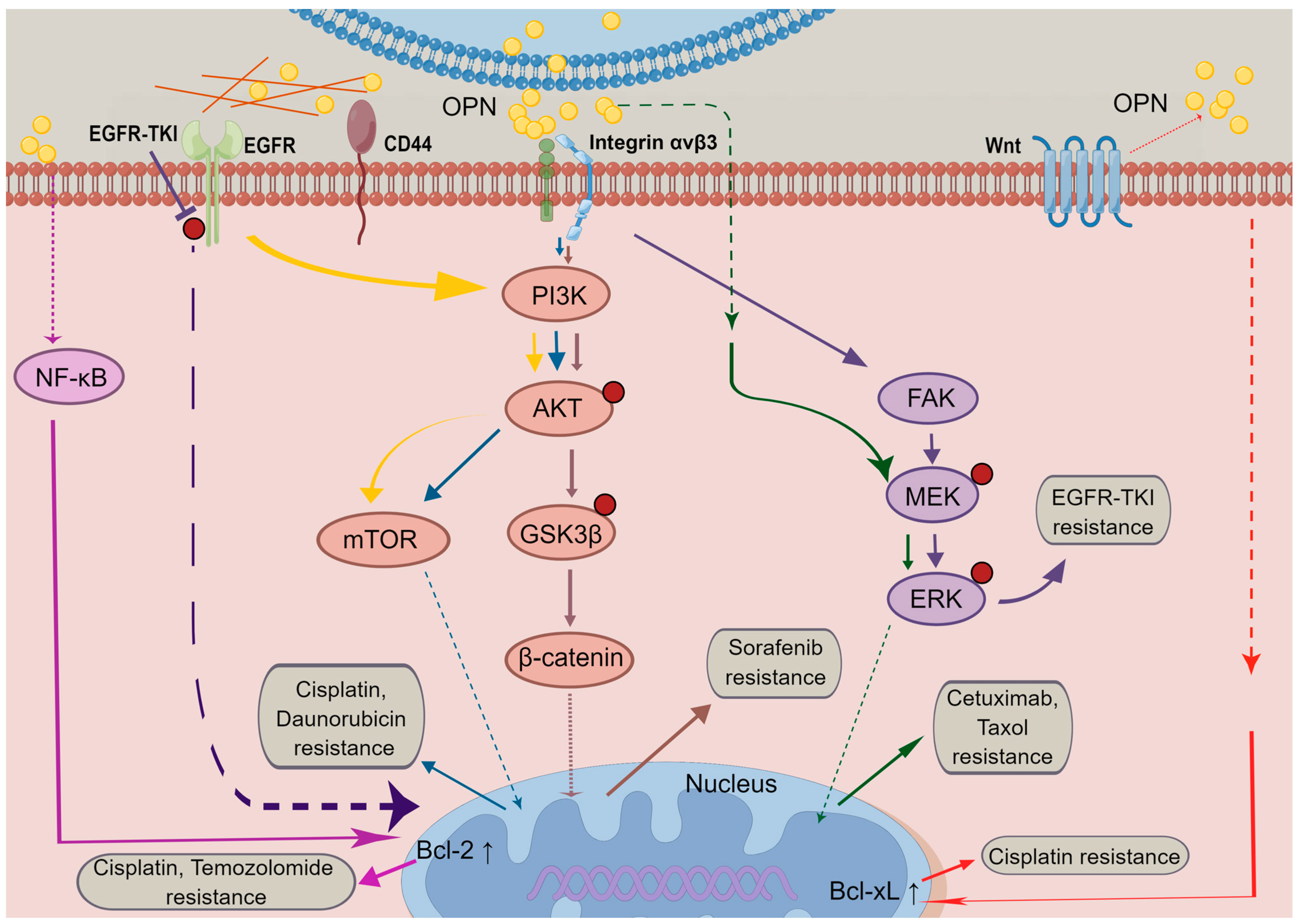 Biomedicines 11 00197 g002 Biomedicines 11 00197 g002