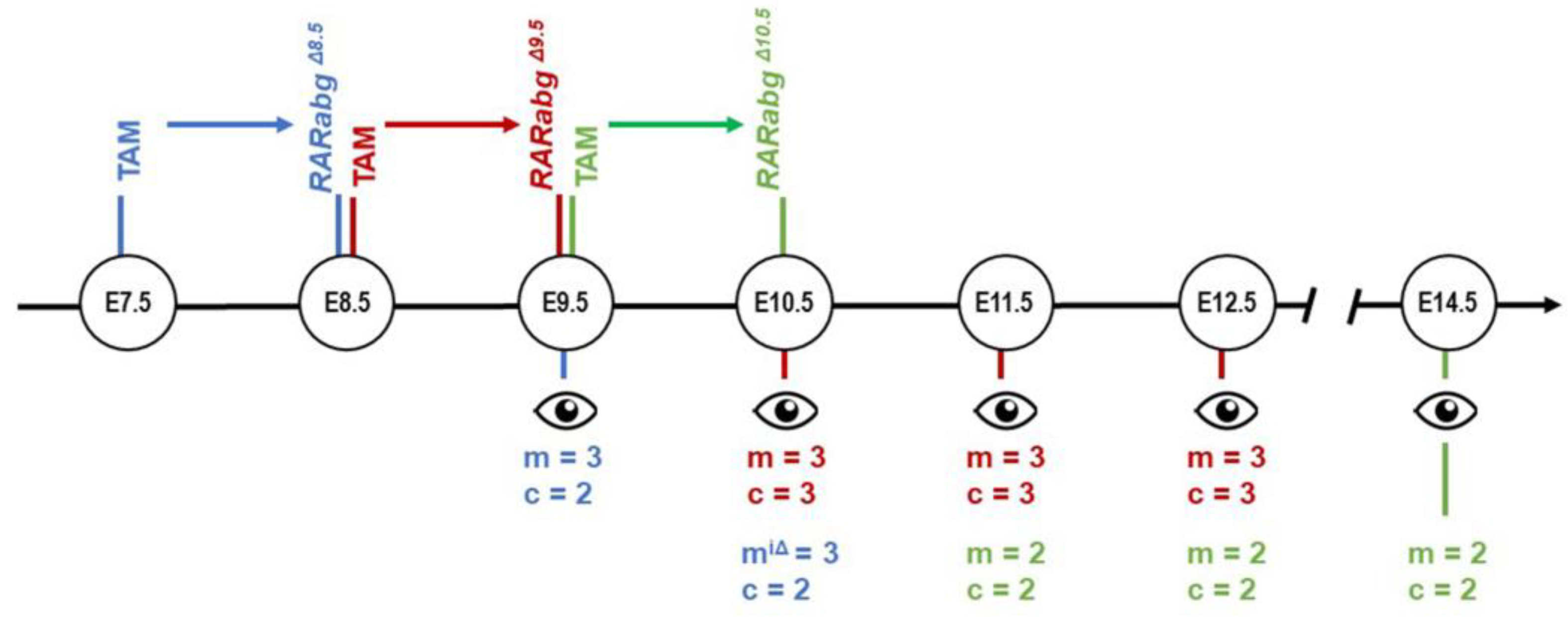 Biomedicines 11 00198 g001 Biomedicines 11 00198 g001