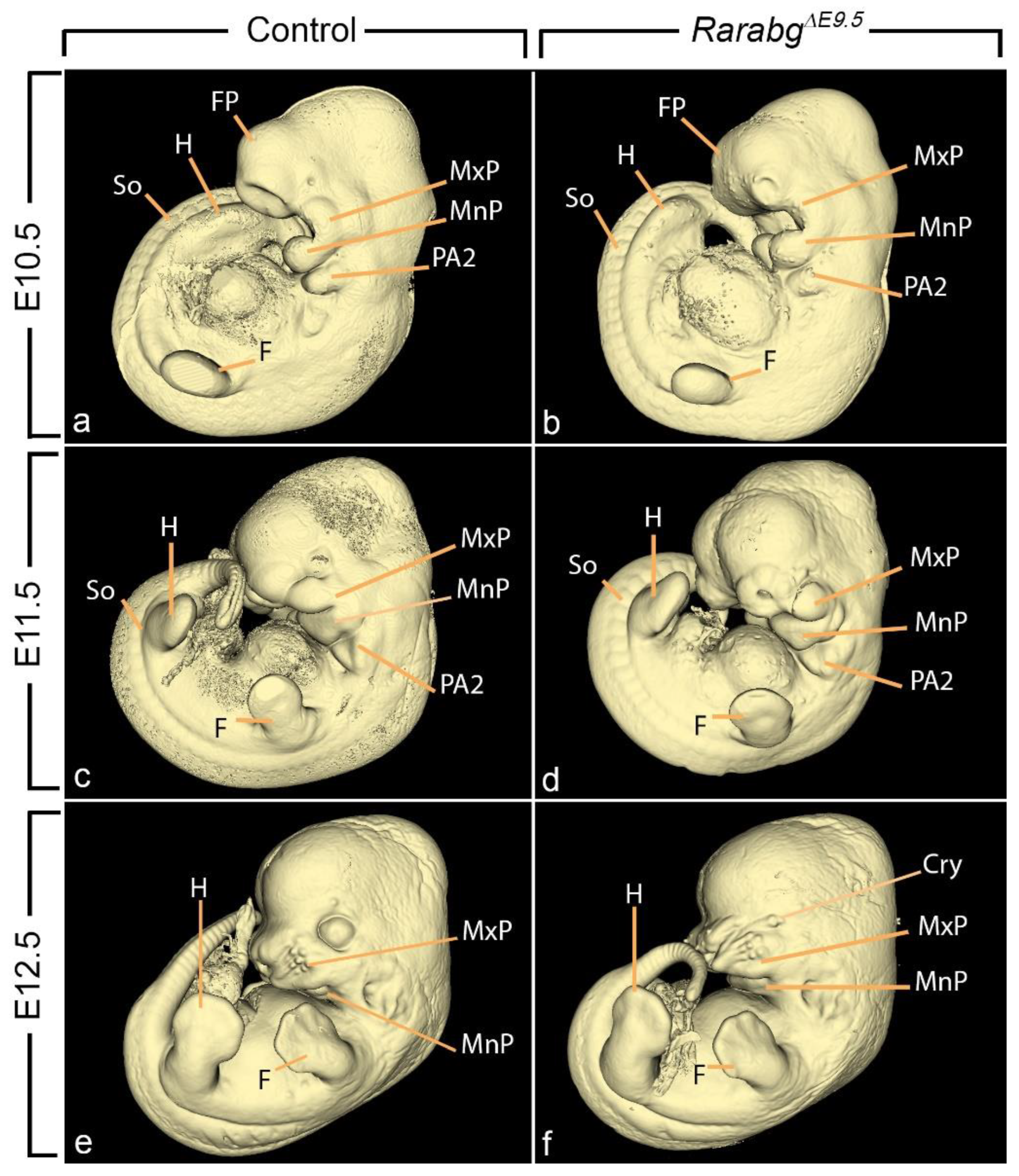 Biomedicines 11 00198 g002 Biomedicines 11 00198 g002